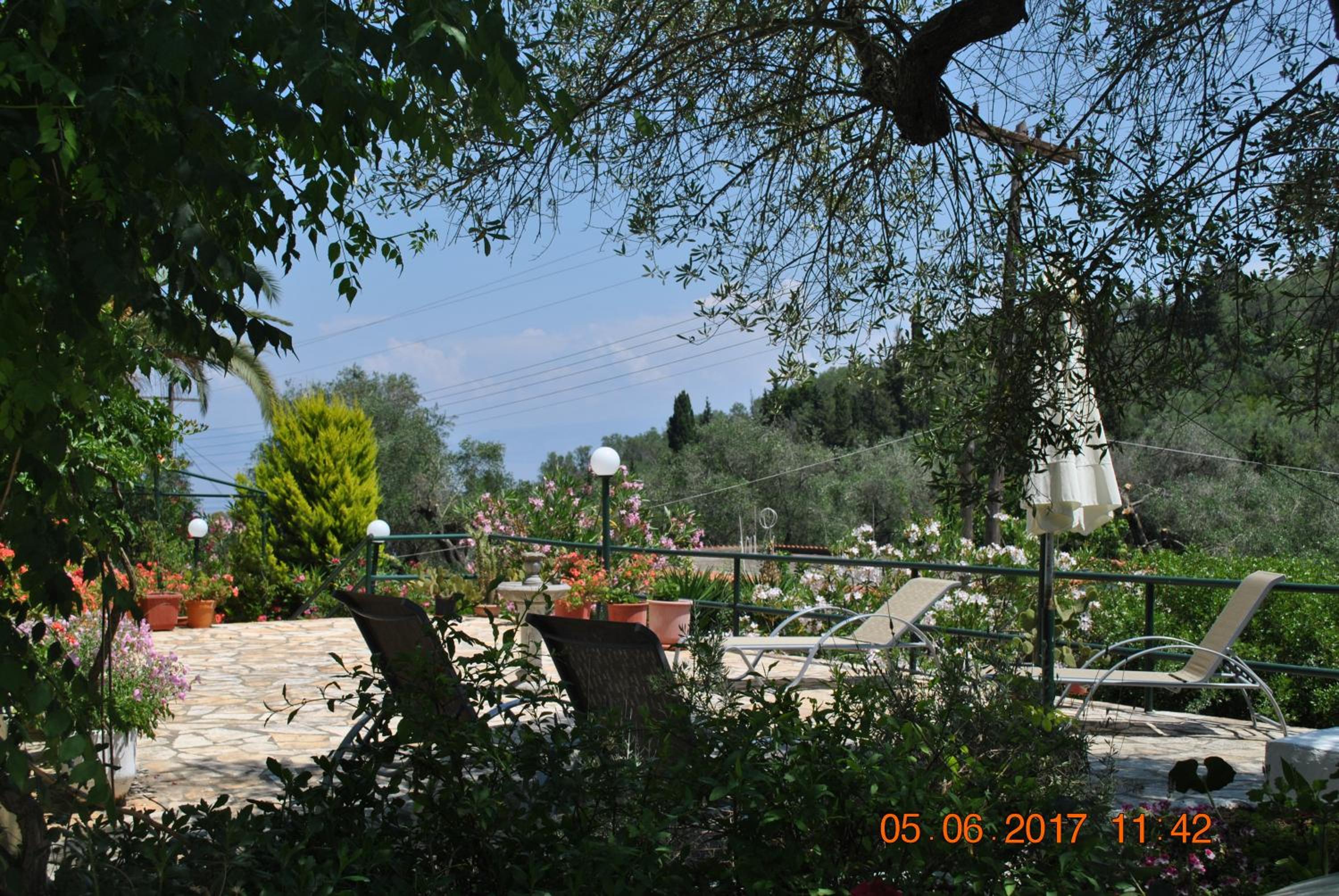 Photo 27