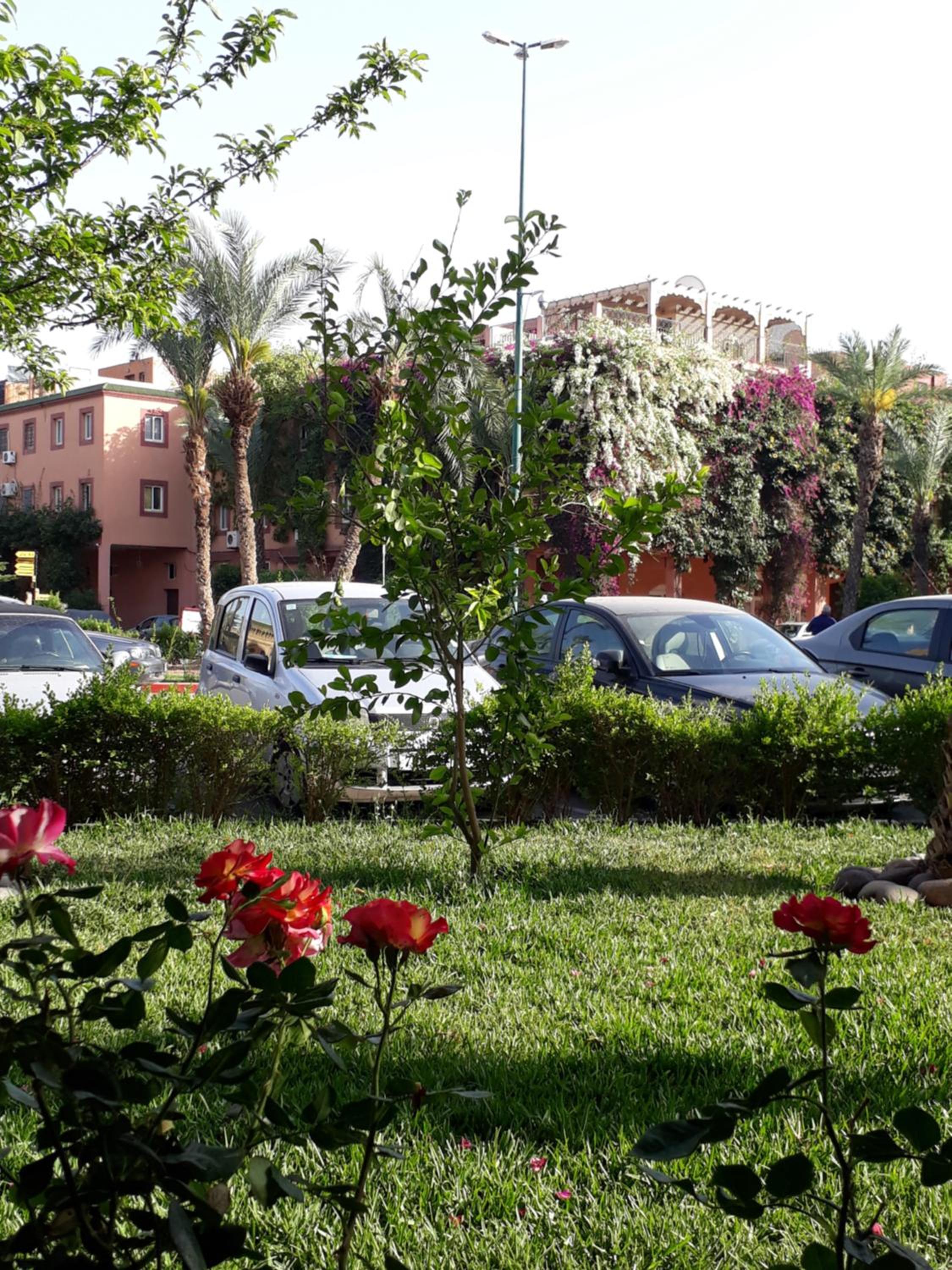 Riad with 3 Swimming Pools