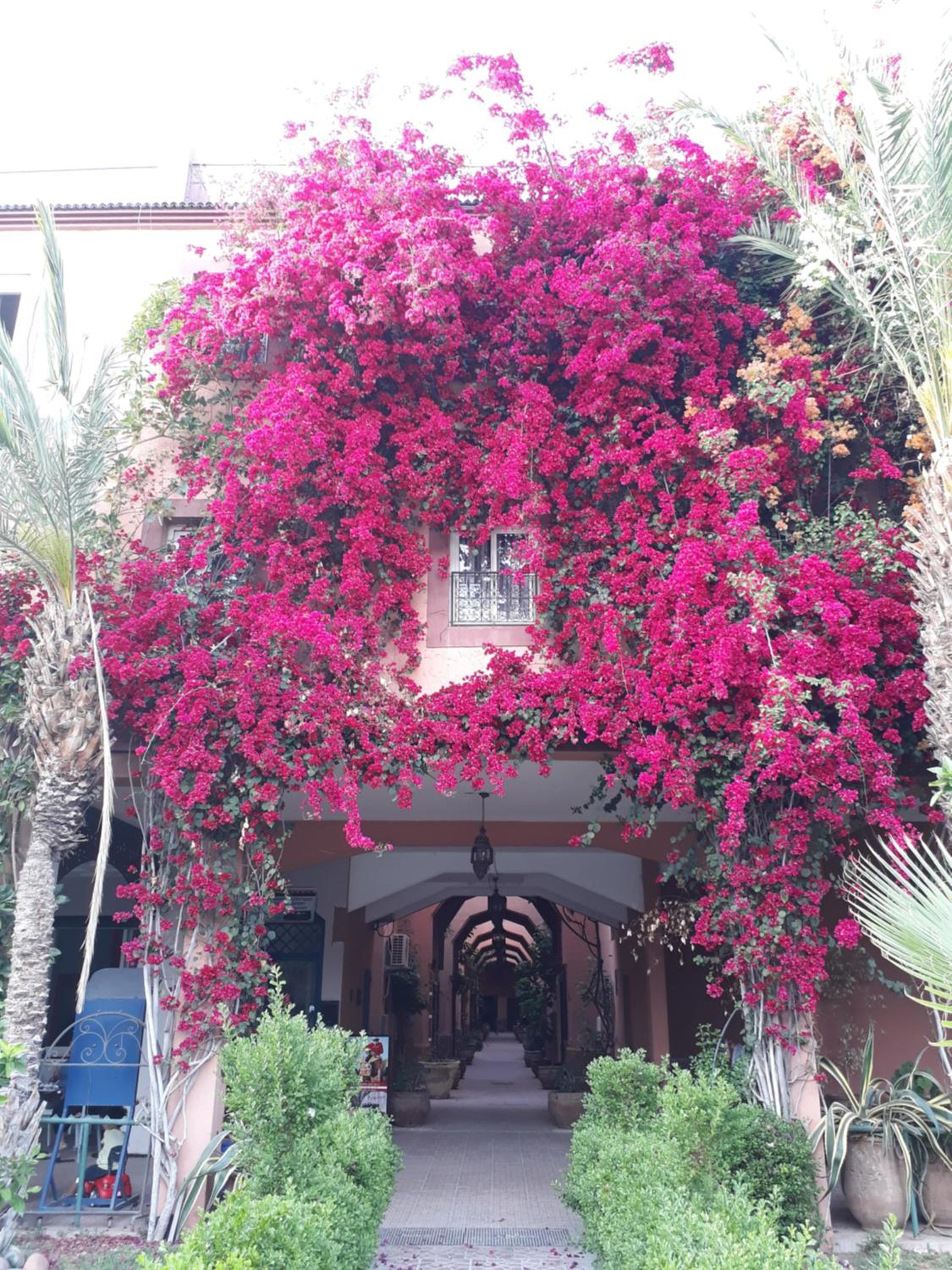 Riad with 3 Swimming Pools