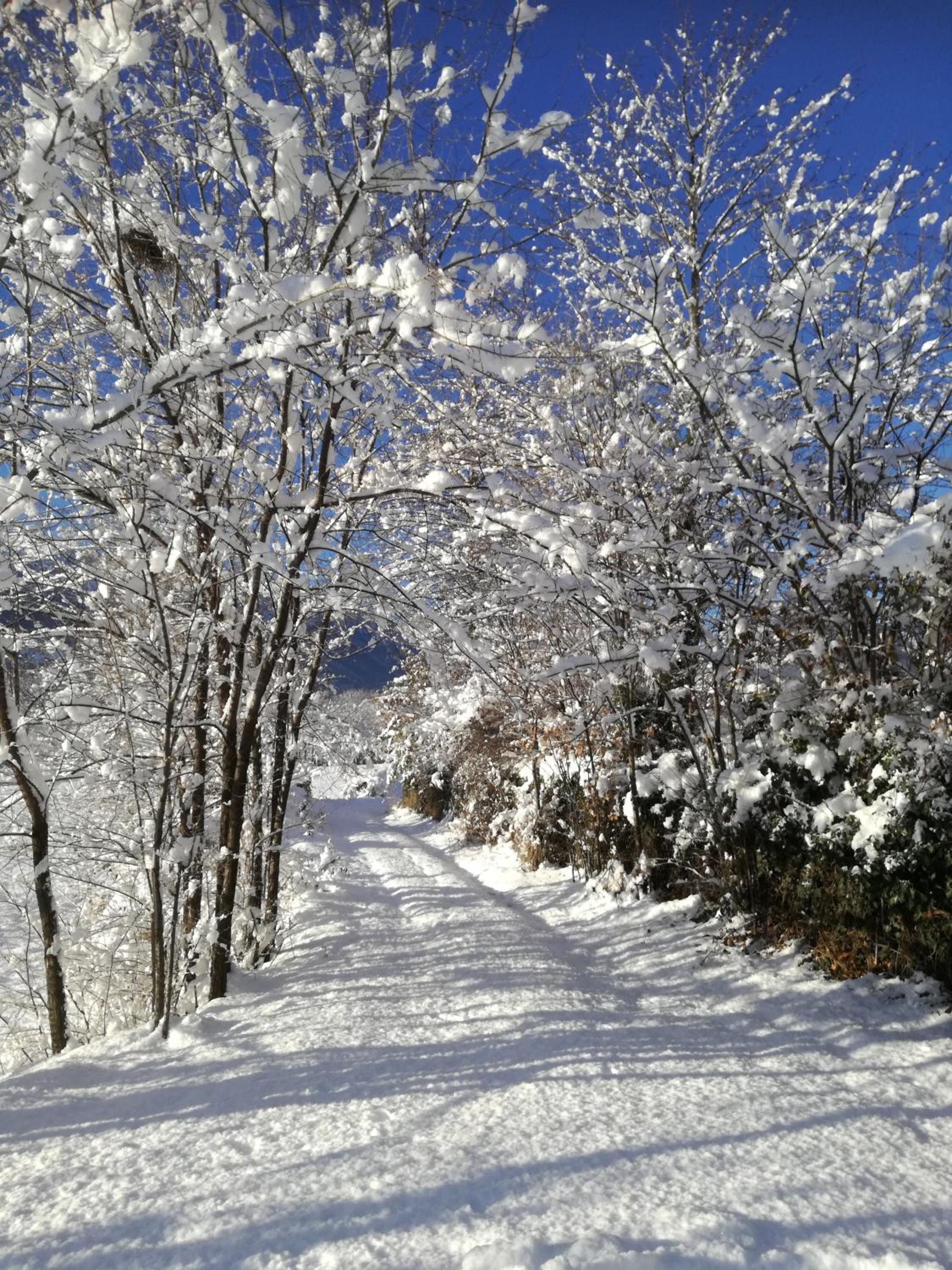 Photo 45