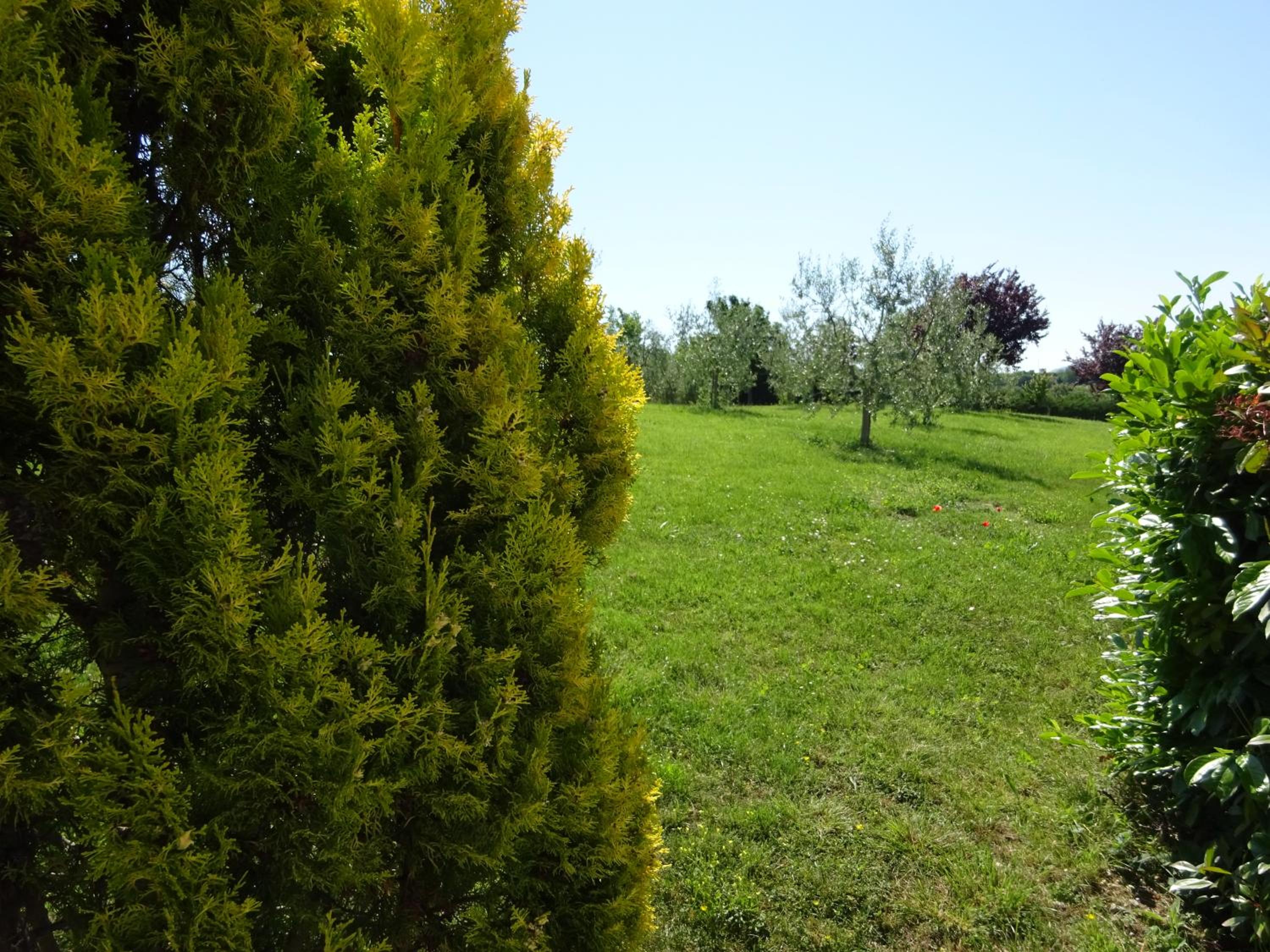 Photo 26