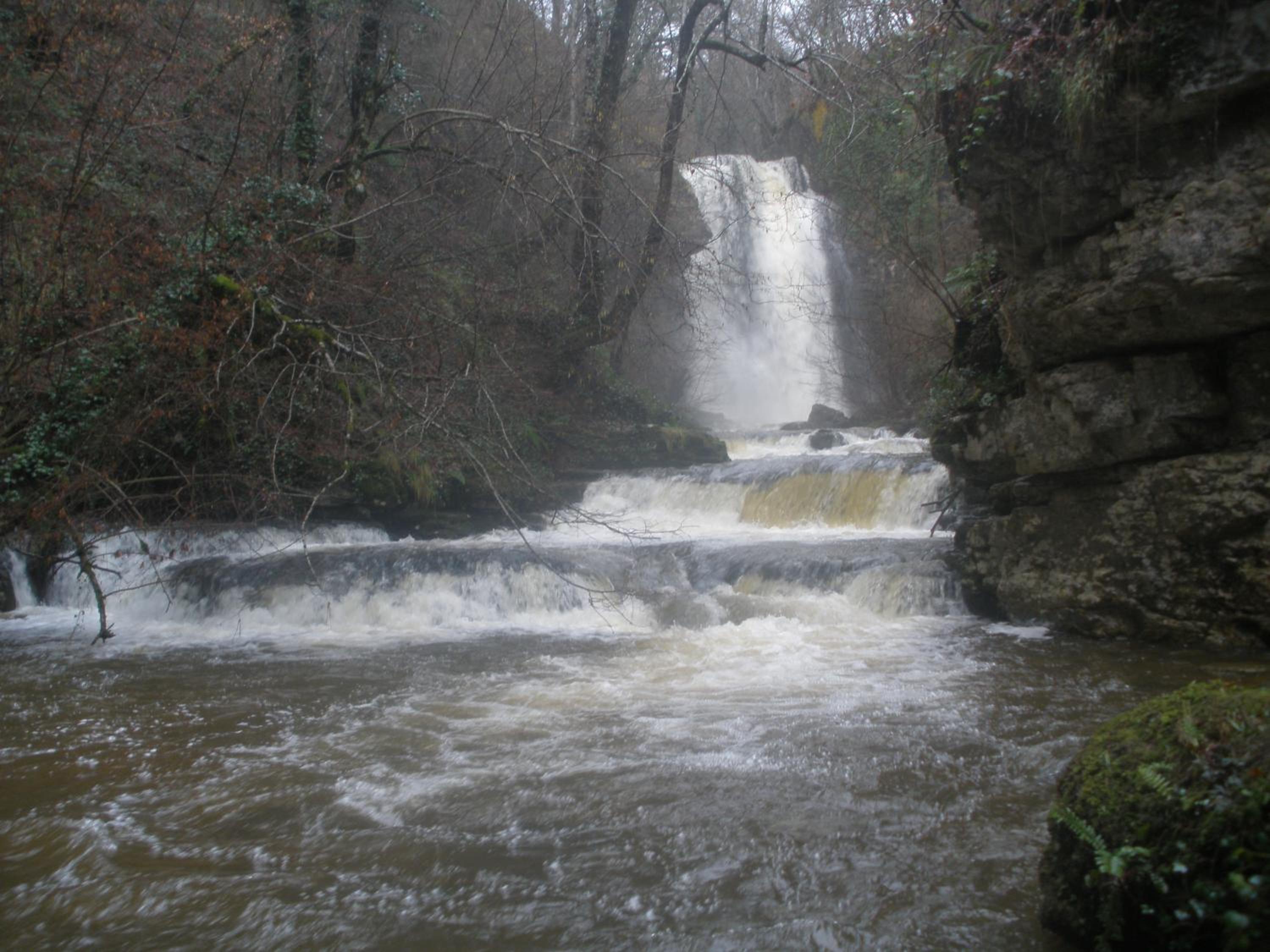 Photo 20