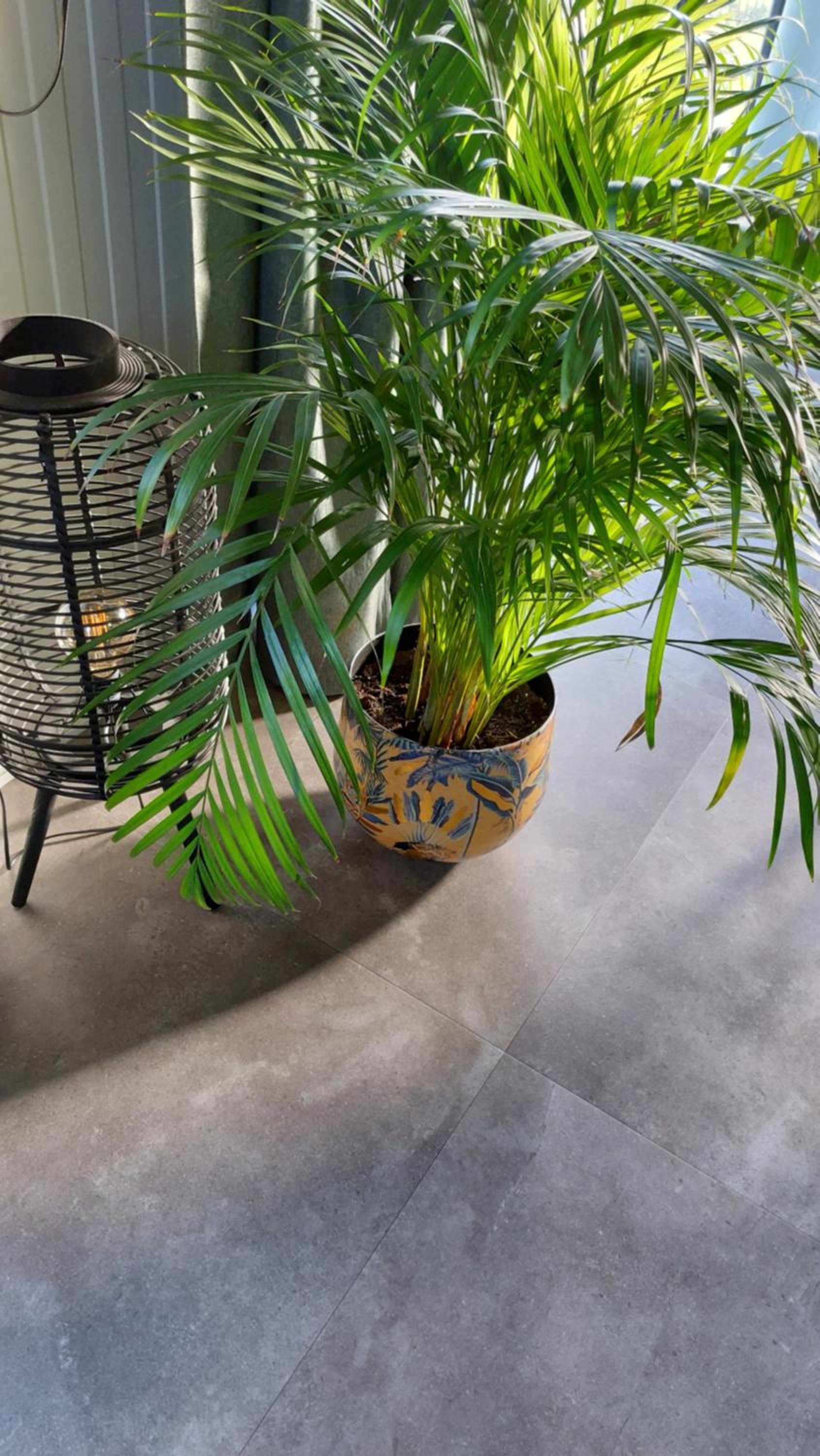 B&B Aan de Lankeren -exclusief ontbijt-, photo 13