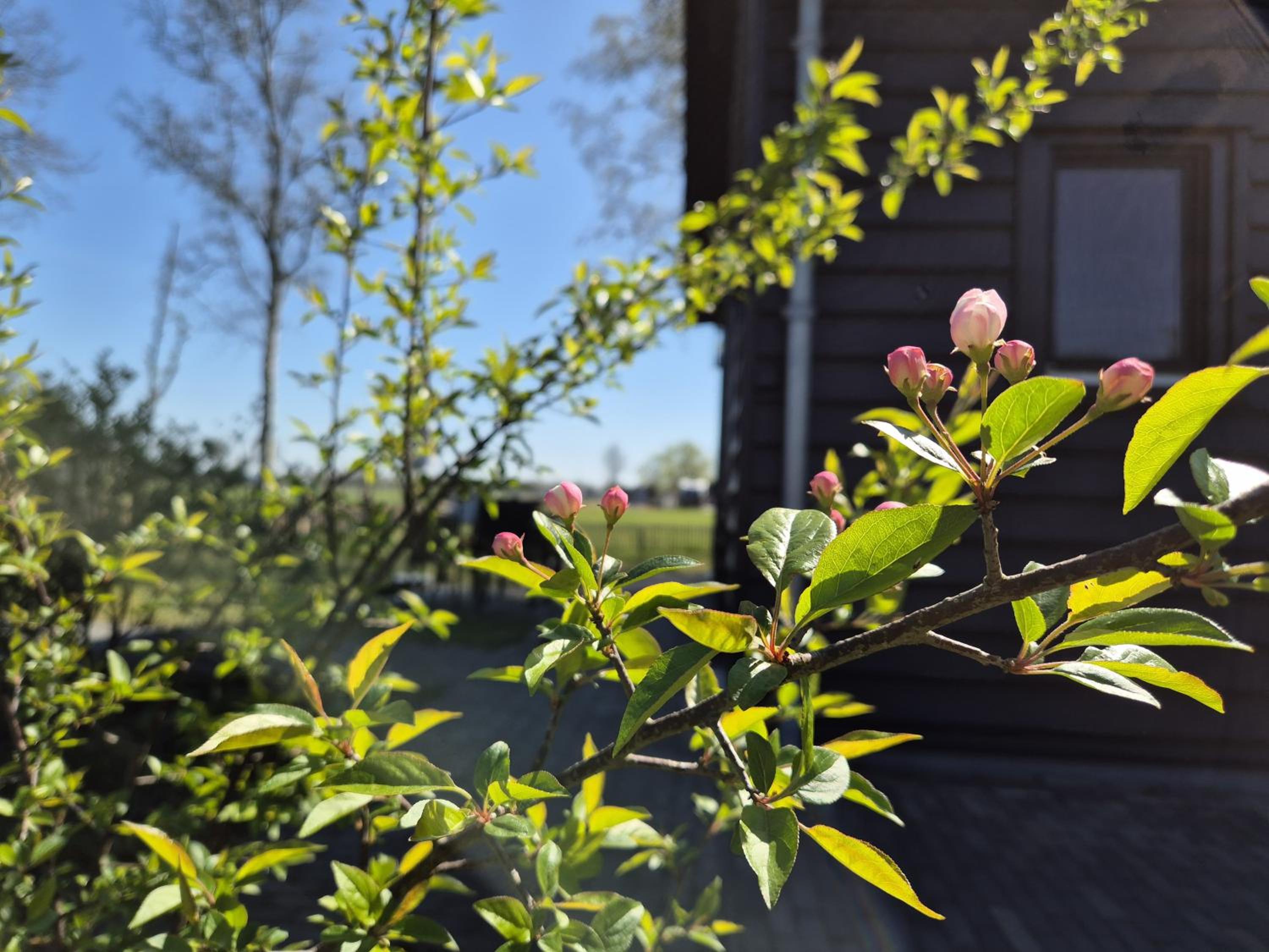 B&B Aan de Lankeren -exclusief ontbijt-, photo 28