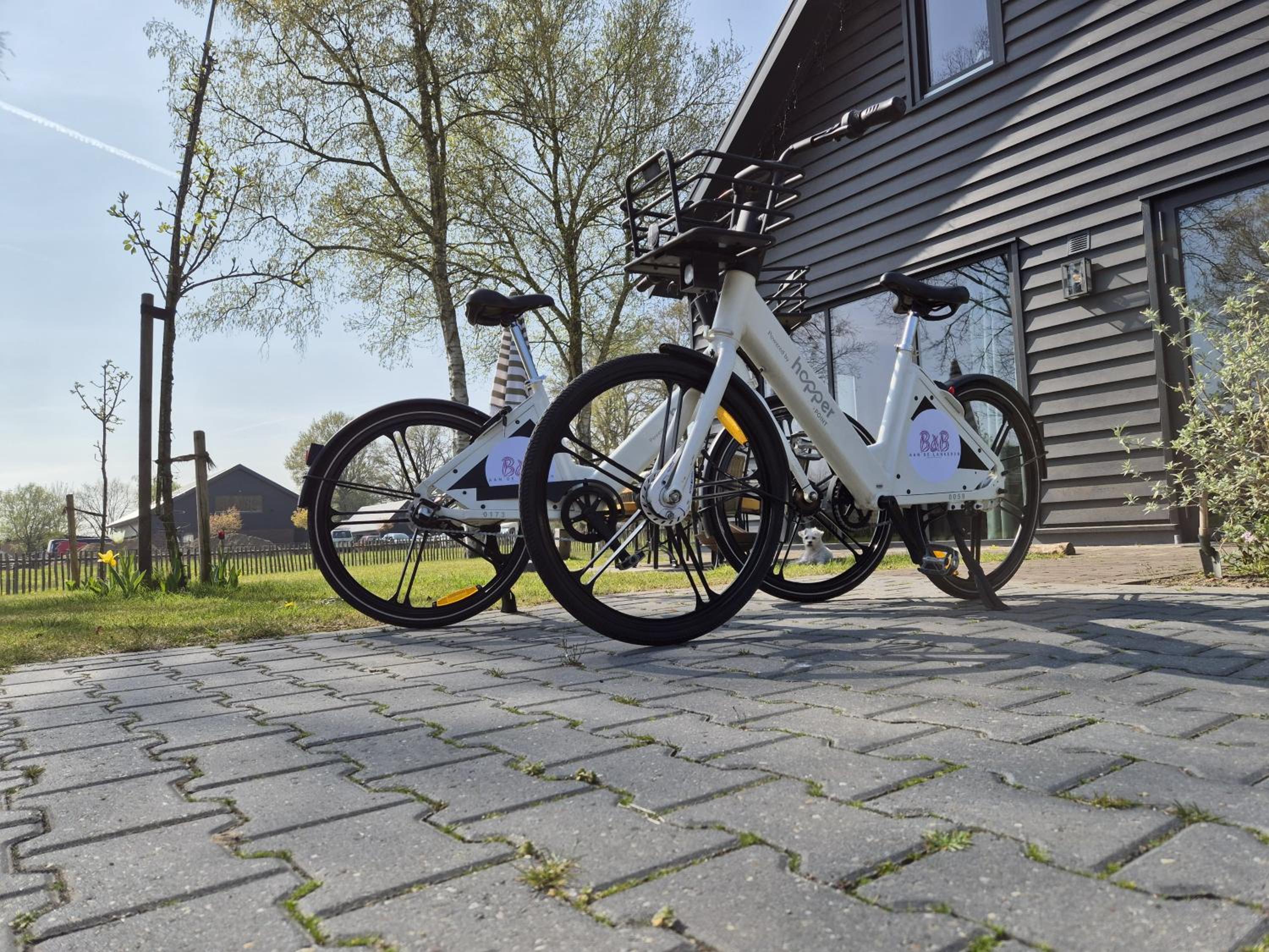 B&B Aan de Lankeren -exclusief ontbijt-, photo 26