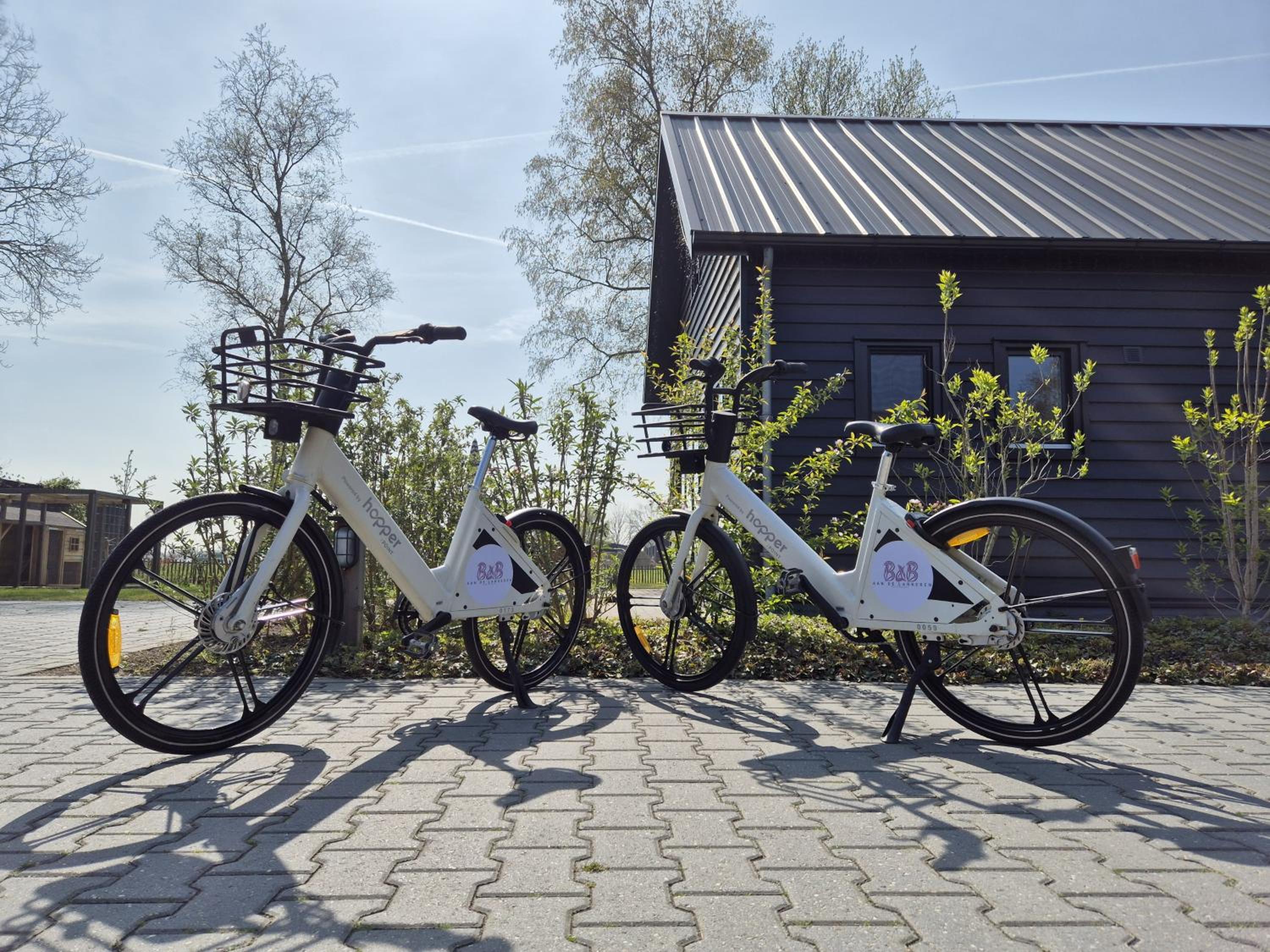 B&B Aan de Lankeren -exclusief ontbijt-, photo 27