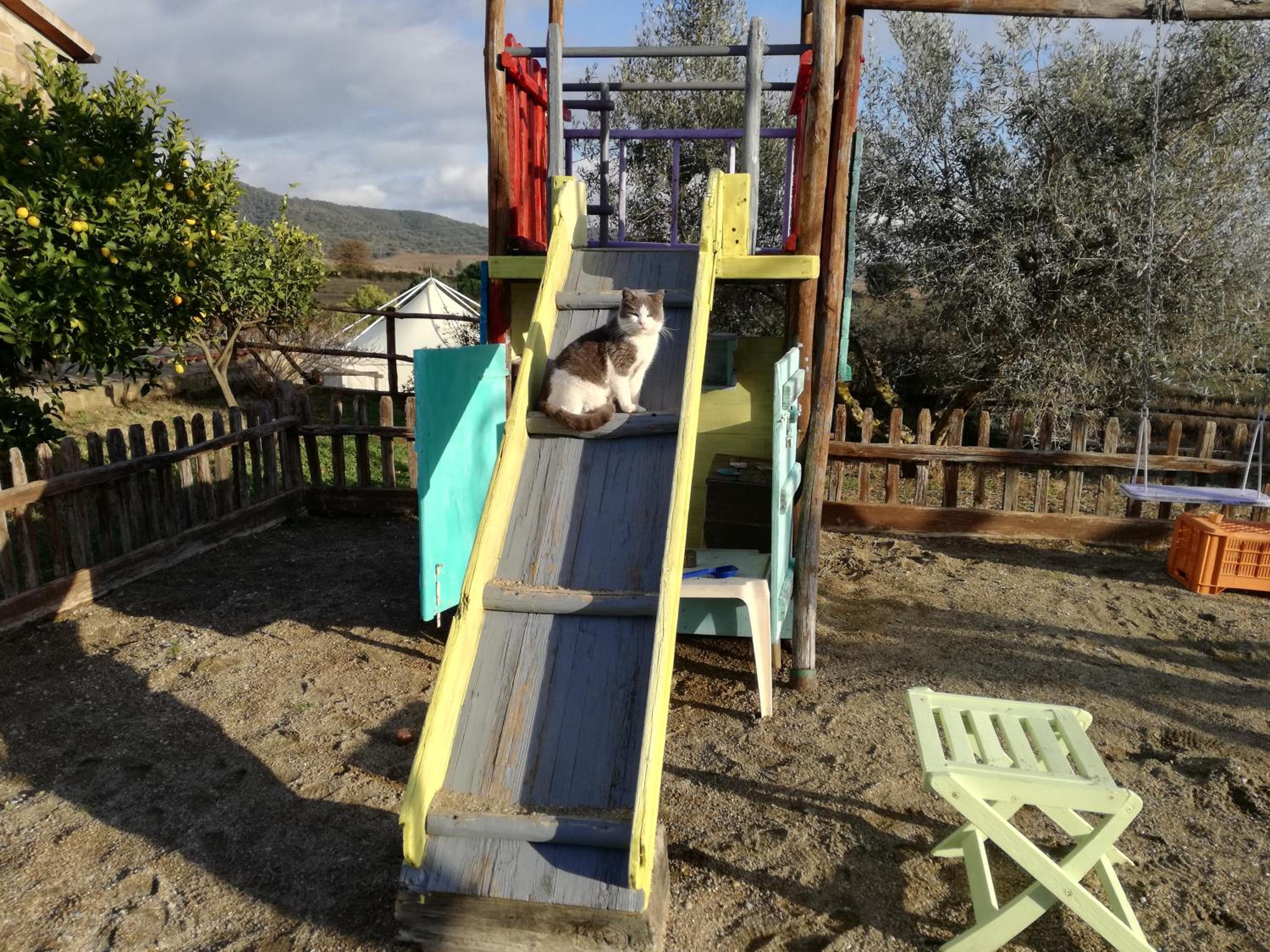 Agriturismo La Svolta