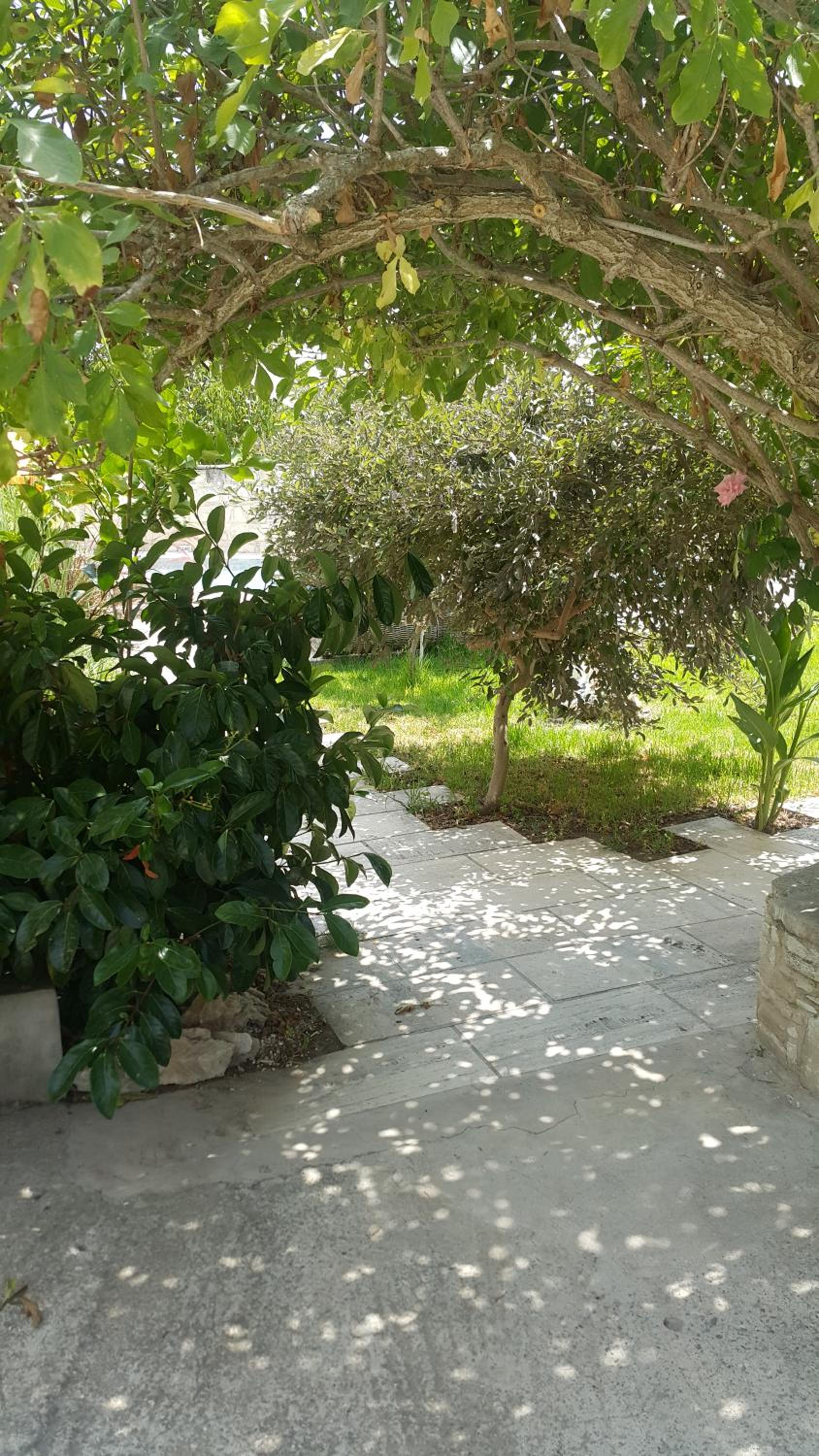 Kaizer Agrotourism - Property Image 23