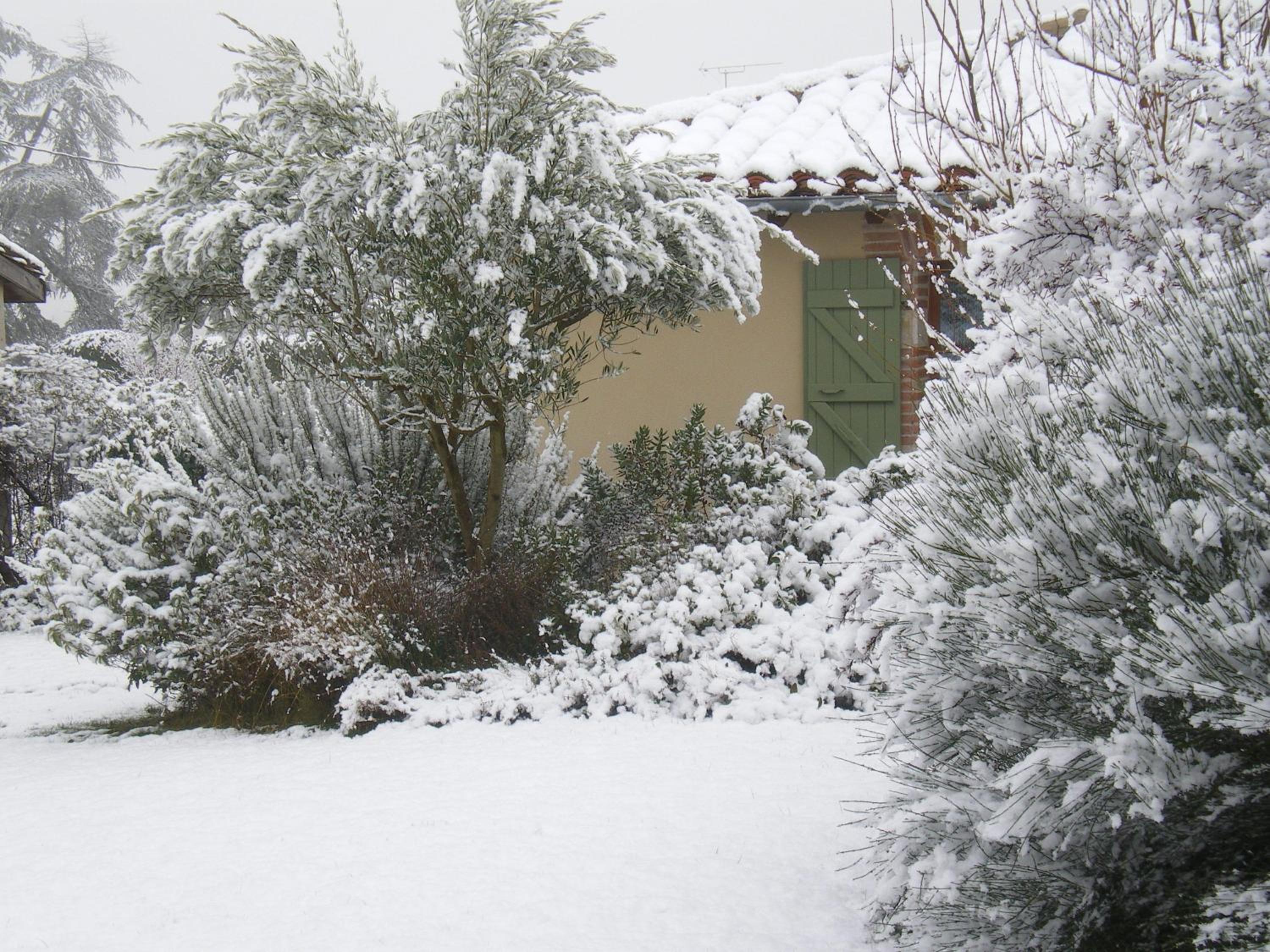 Le Poulailler view 4
