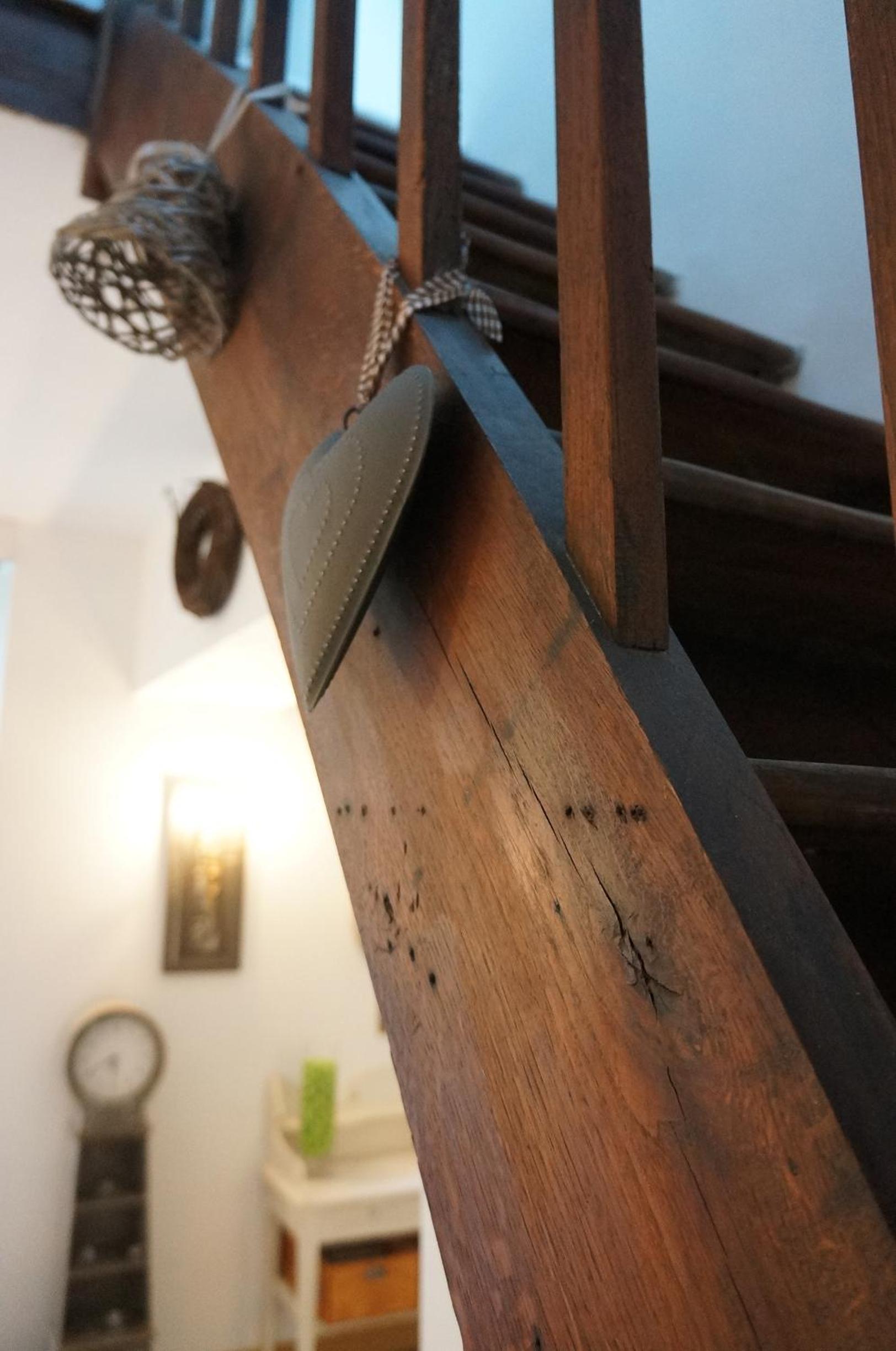La Dépendance, photo 17