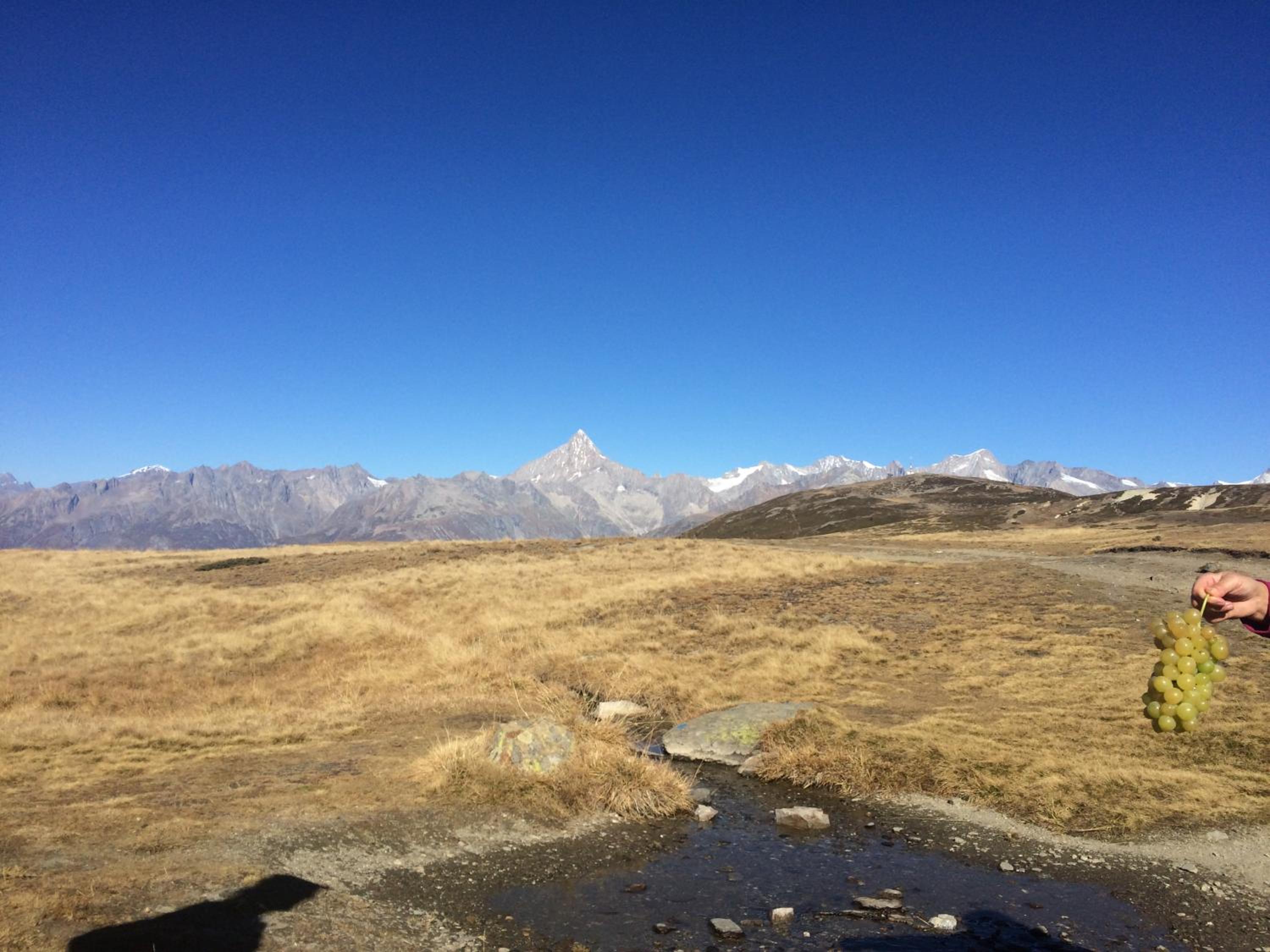 Alpenparadies