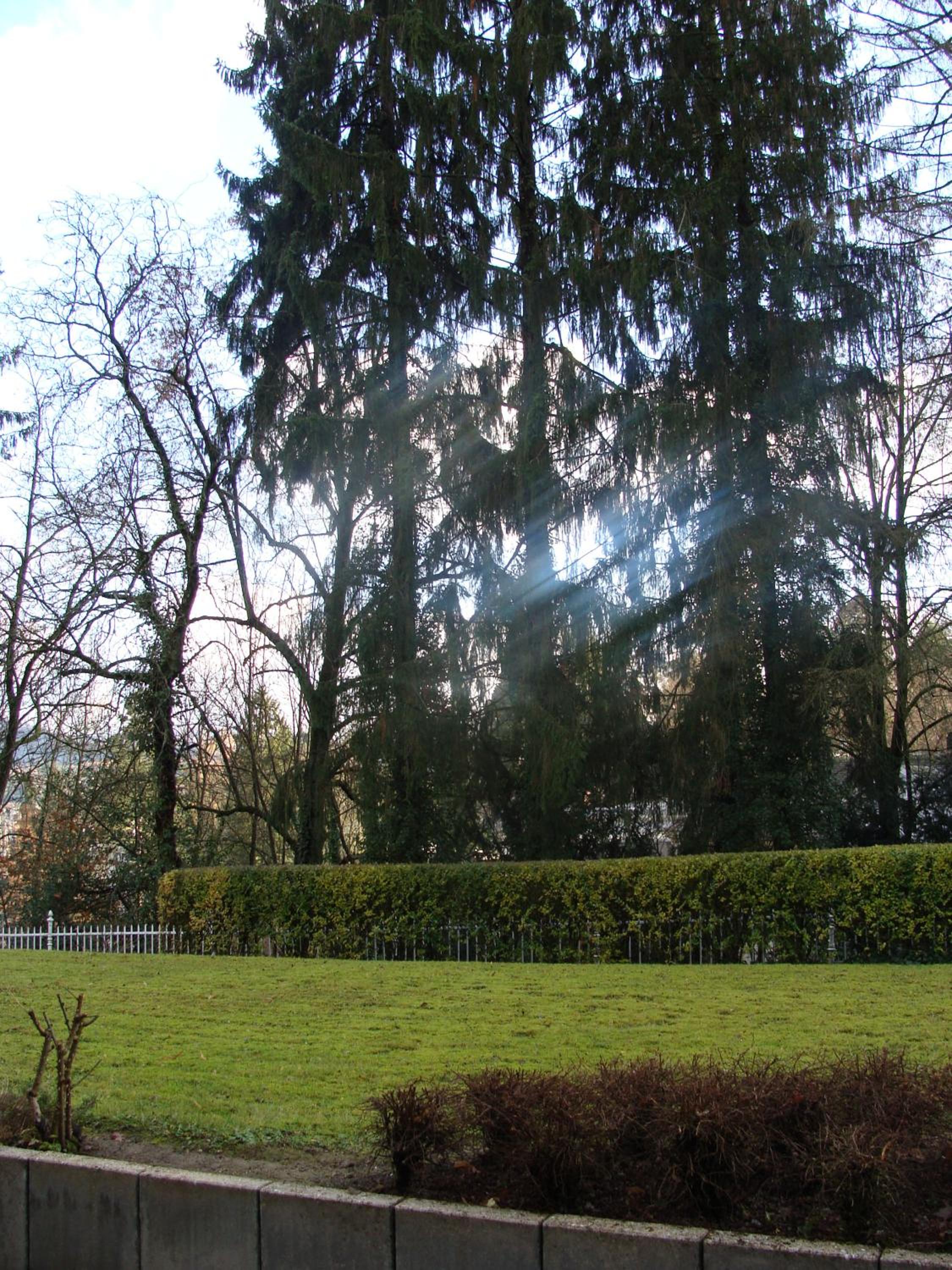 VIP Apartment Baden-Baden