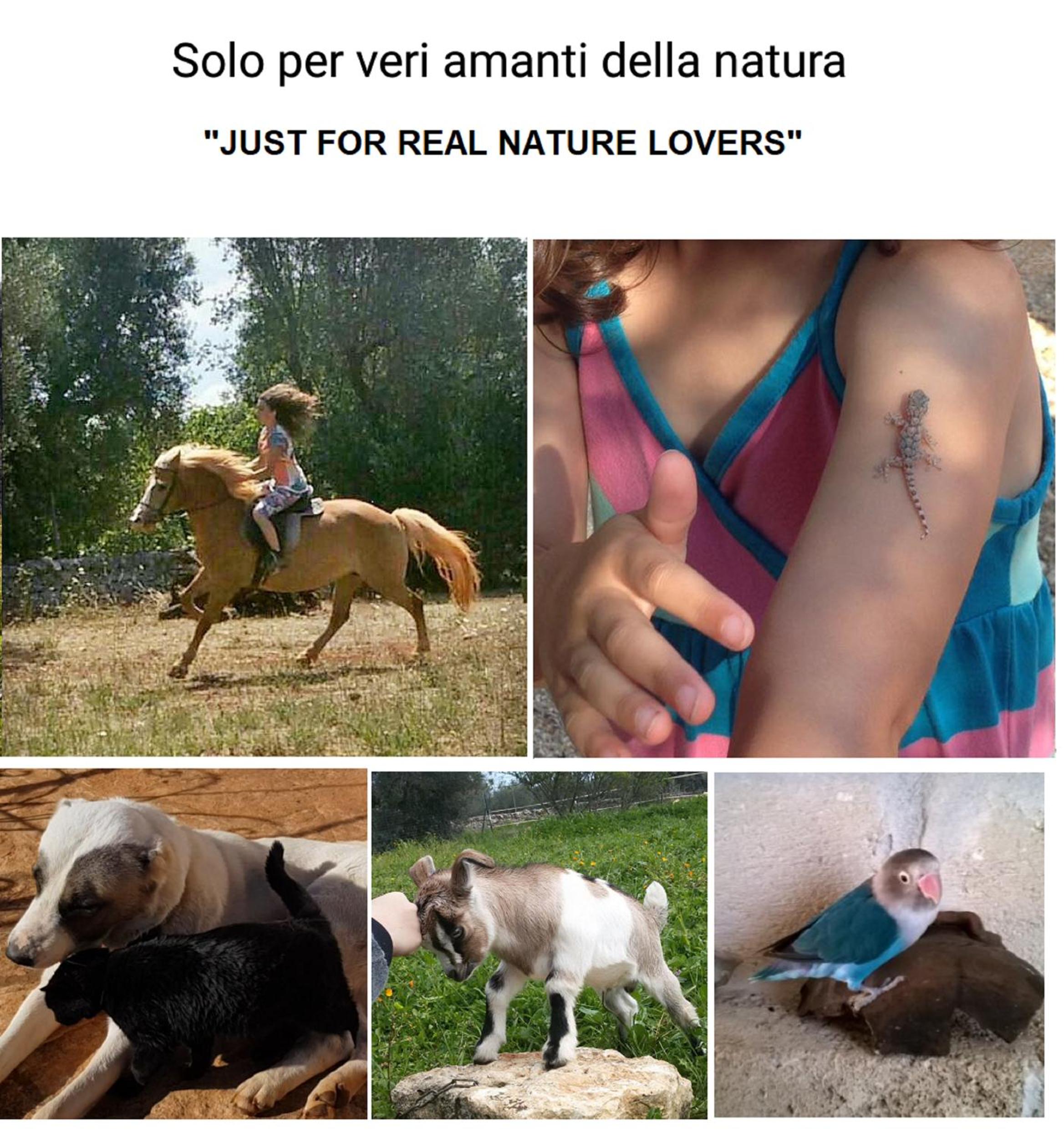 B&b Aurasia