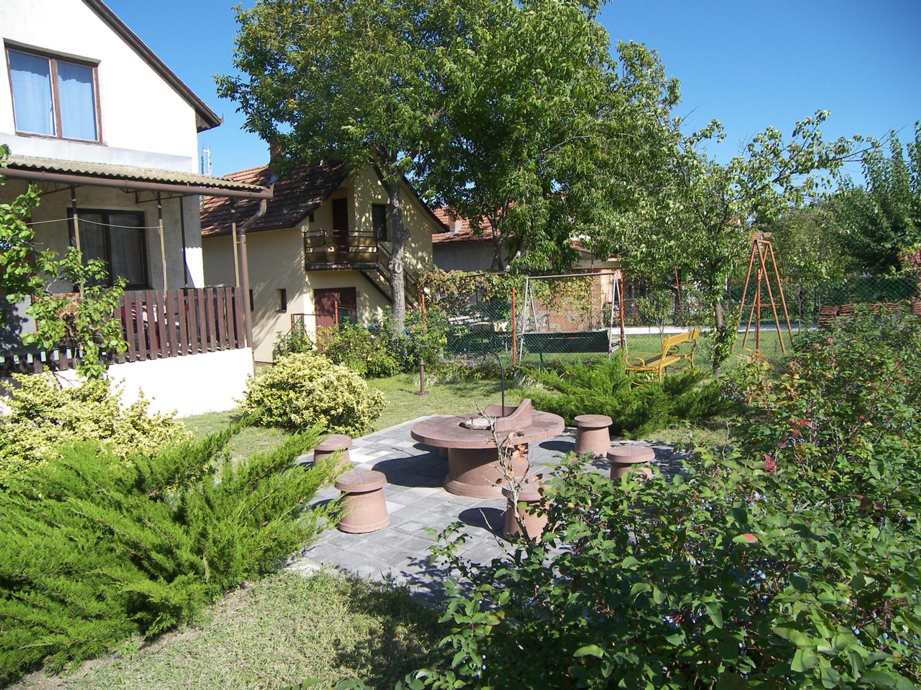 Photo 11