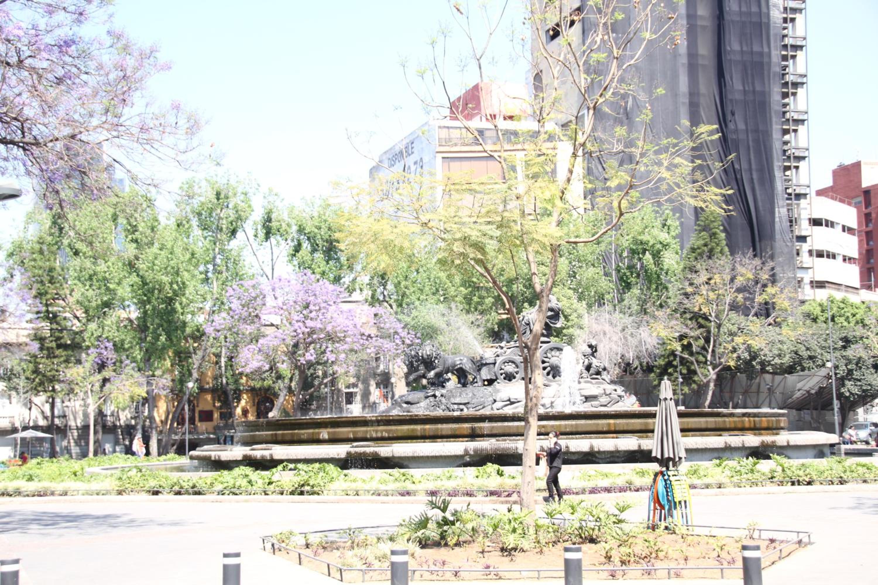 Departamentos Amueblados la Condesa