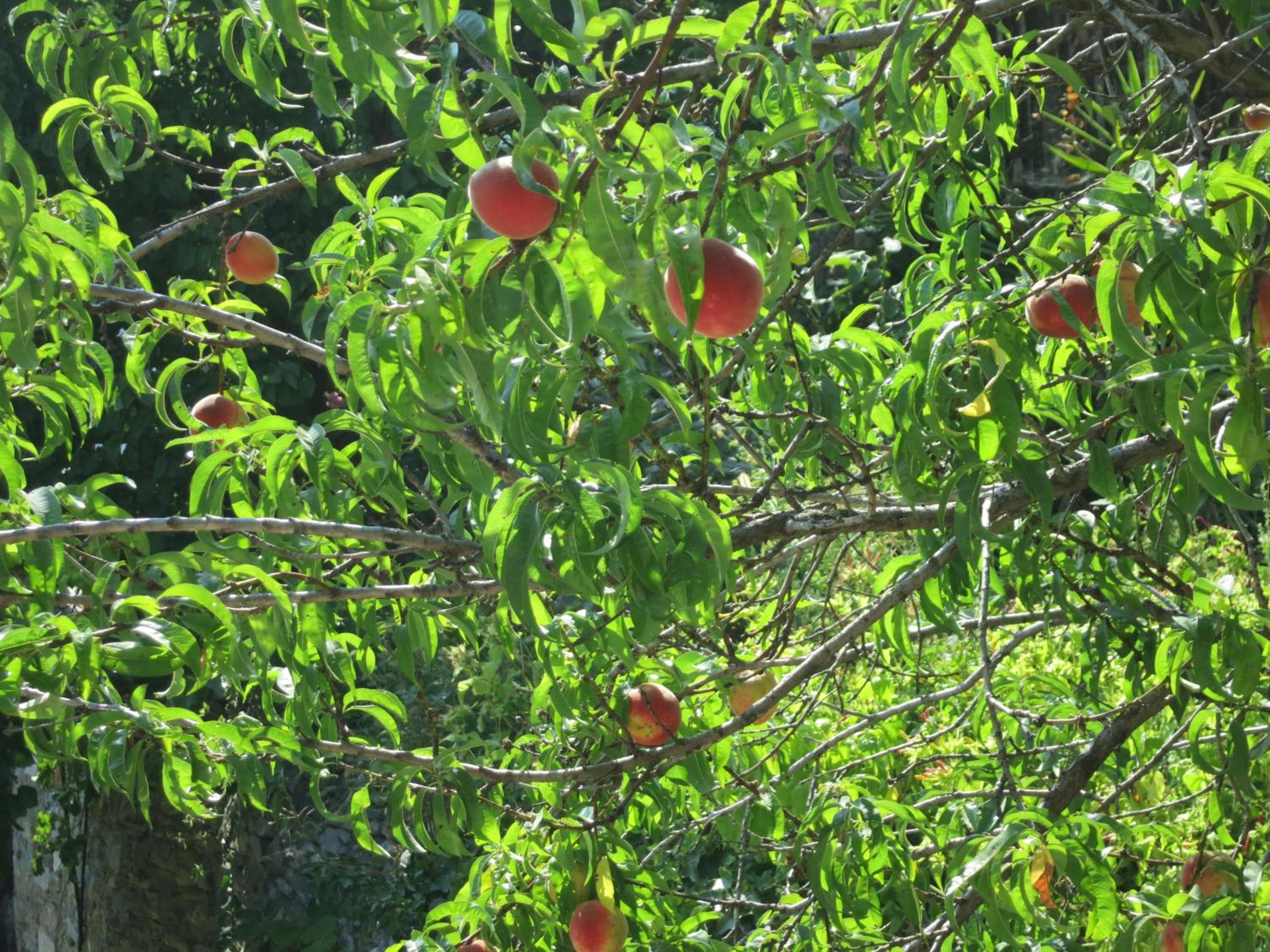 Photo 17