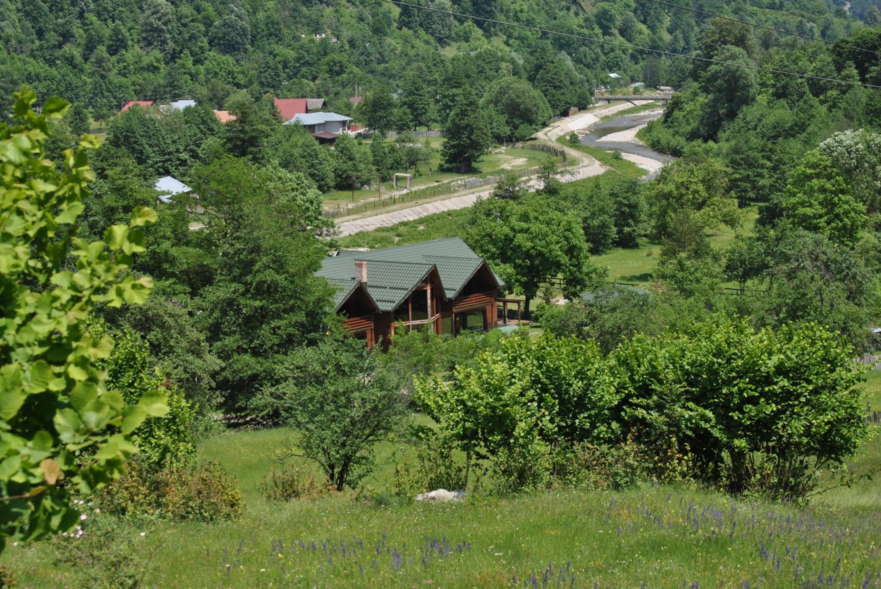 Photo 23