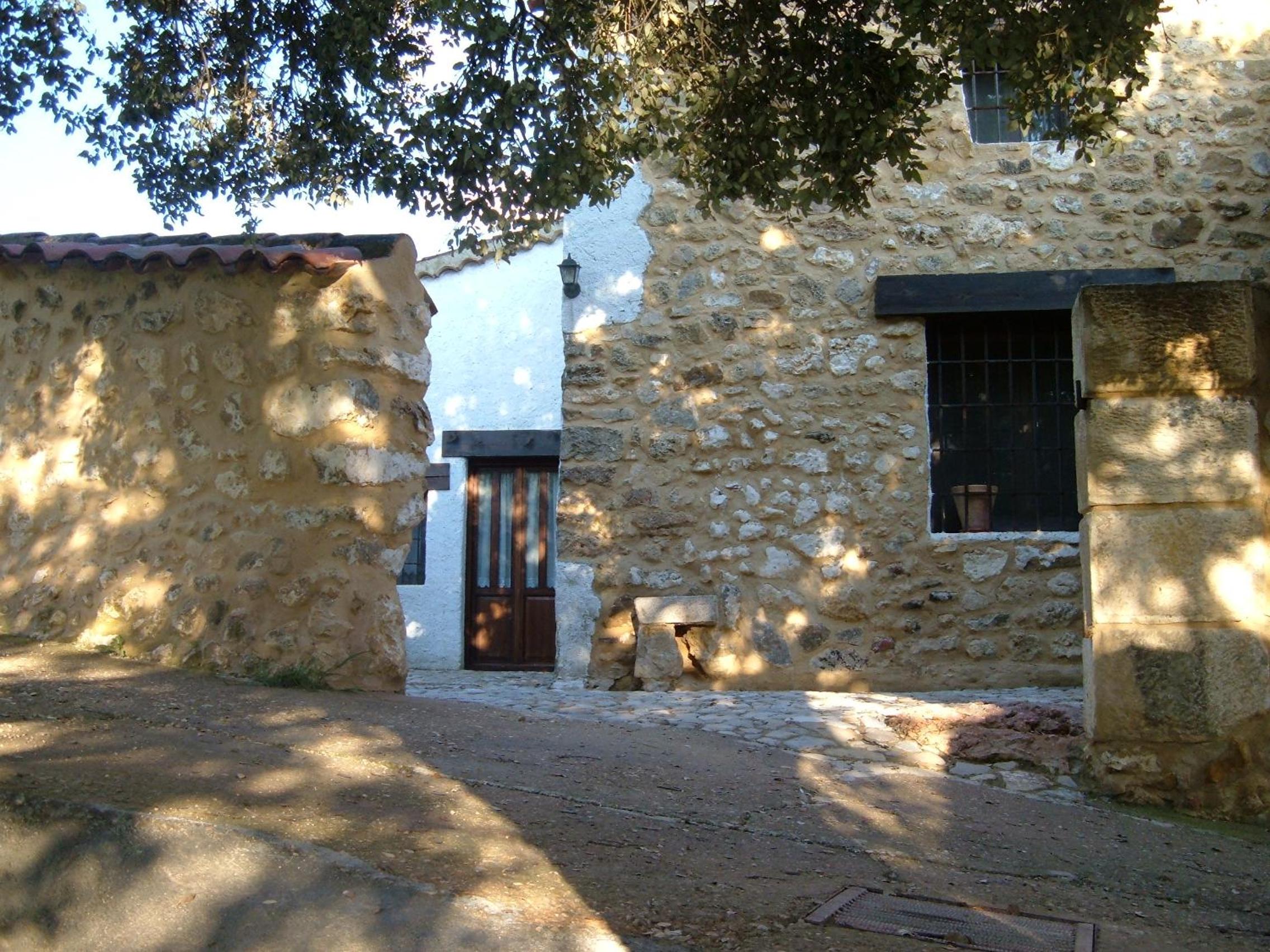 Photo 29