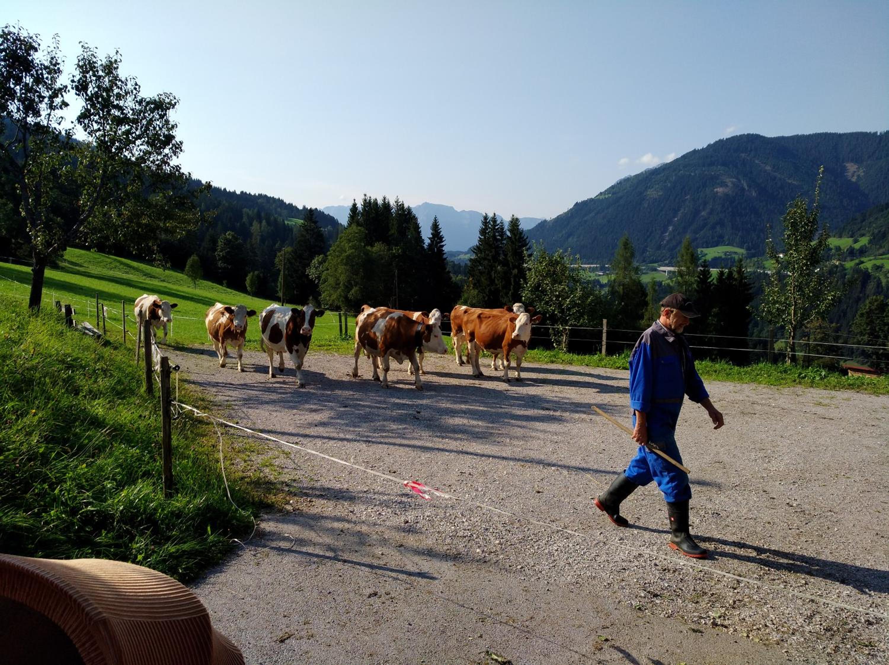 Vordersattlegghof