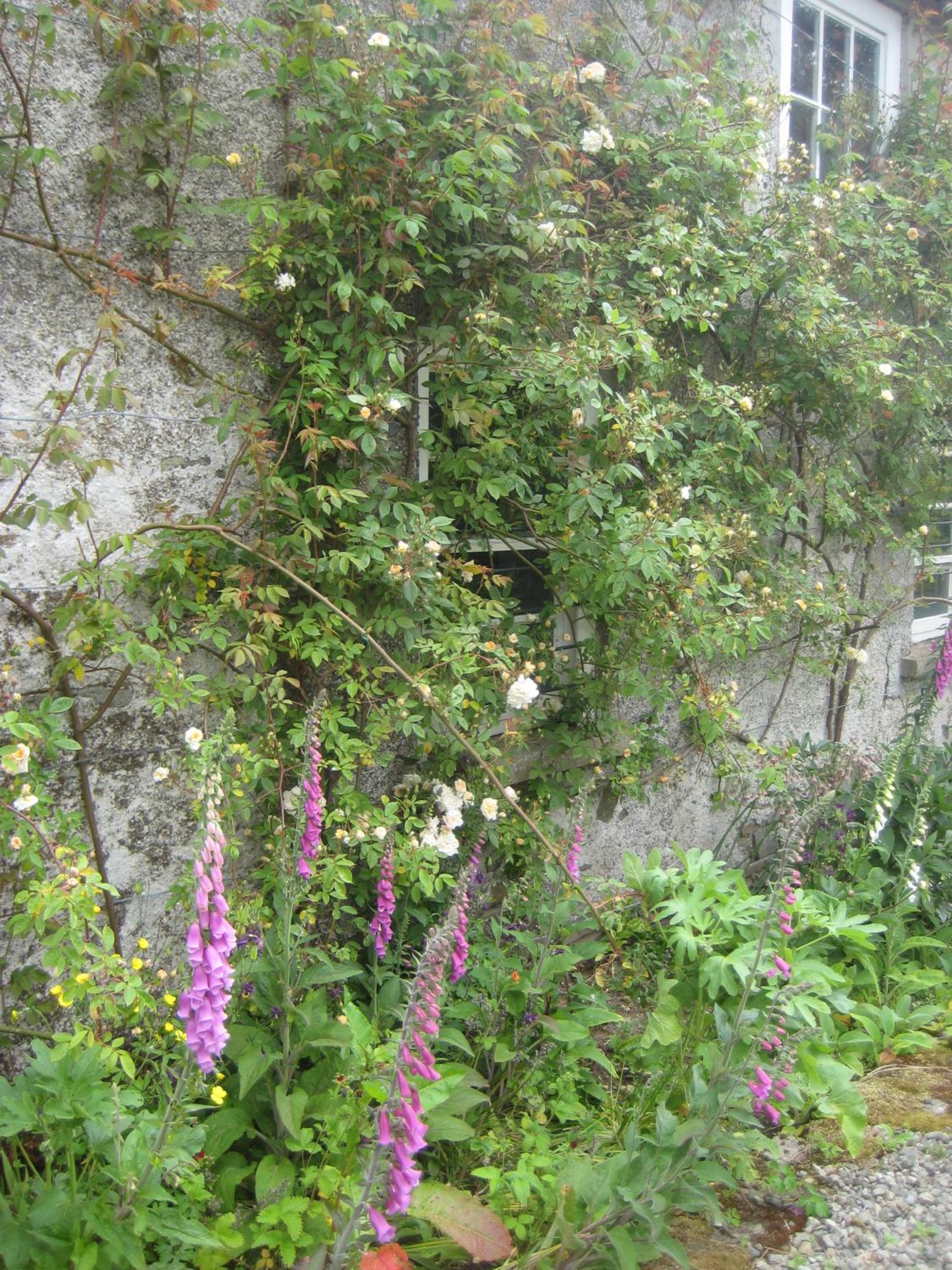 Ballydugan Country House