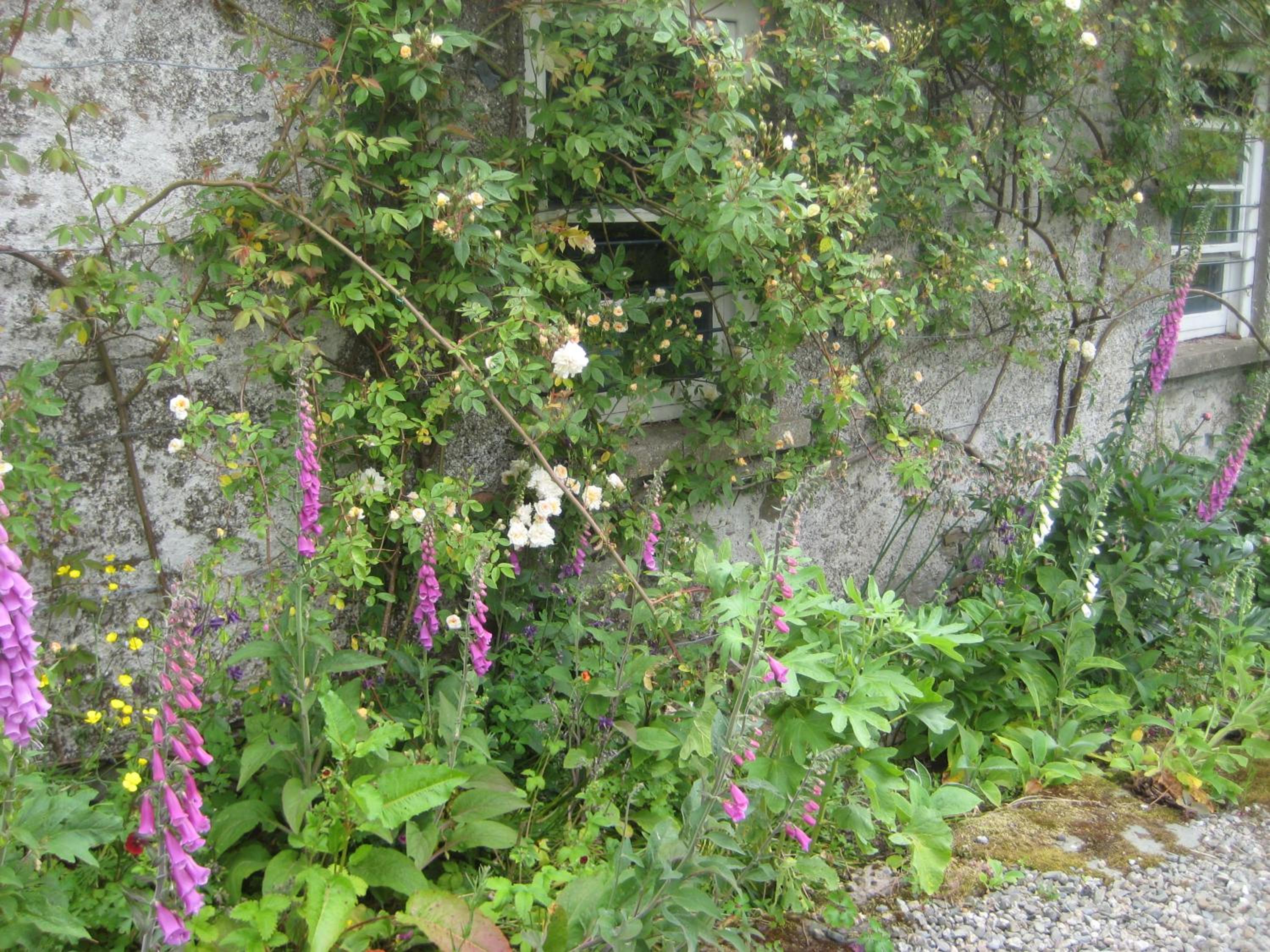 Ballydugan Country House