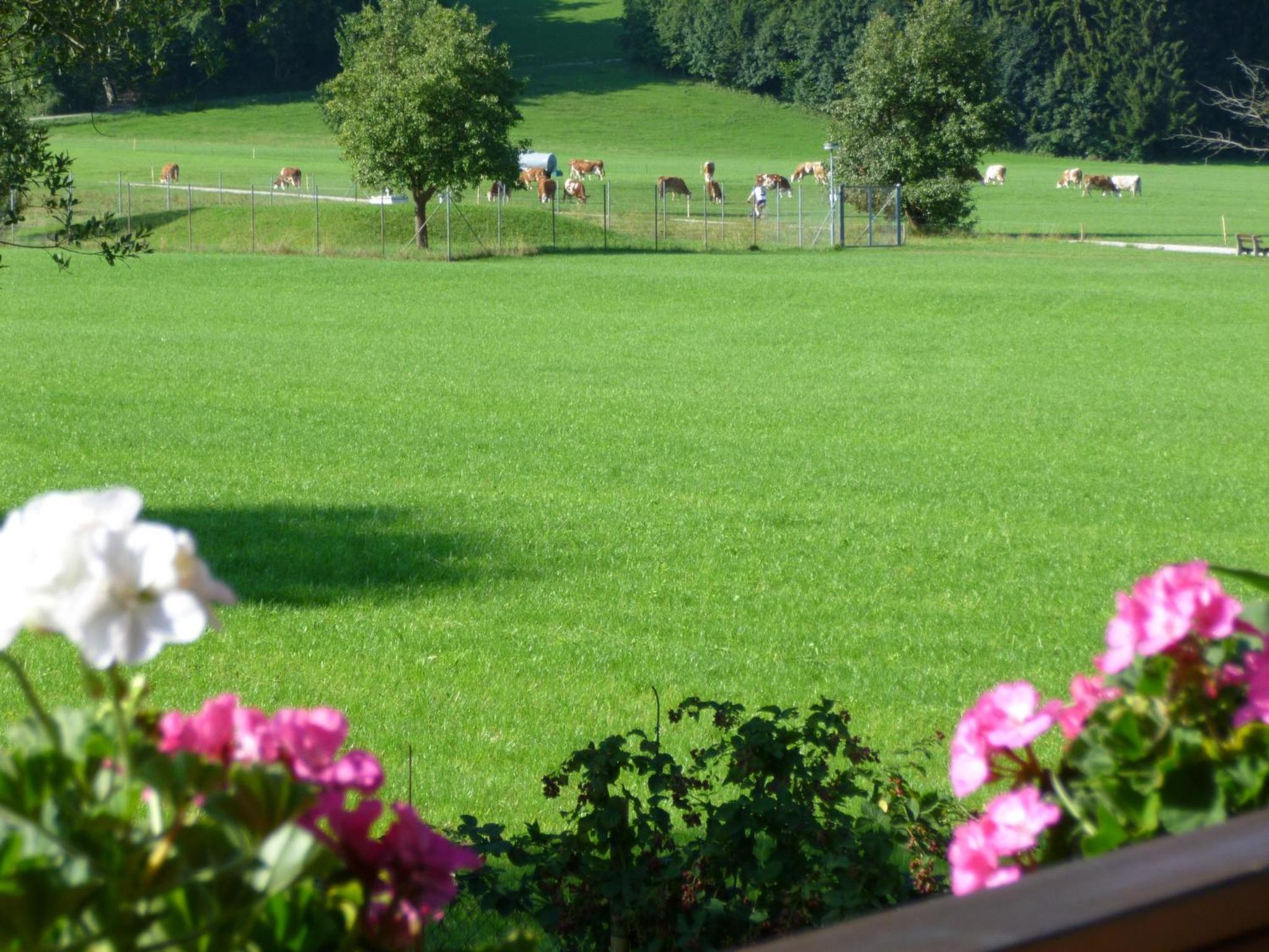 Ferienwohnung Edmeier