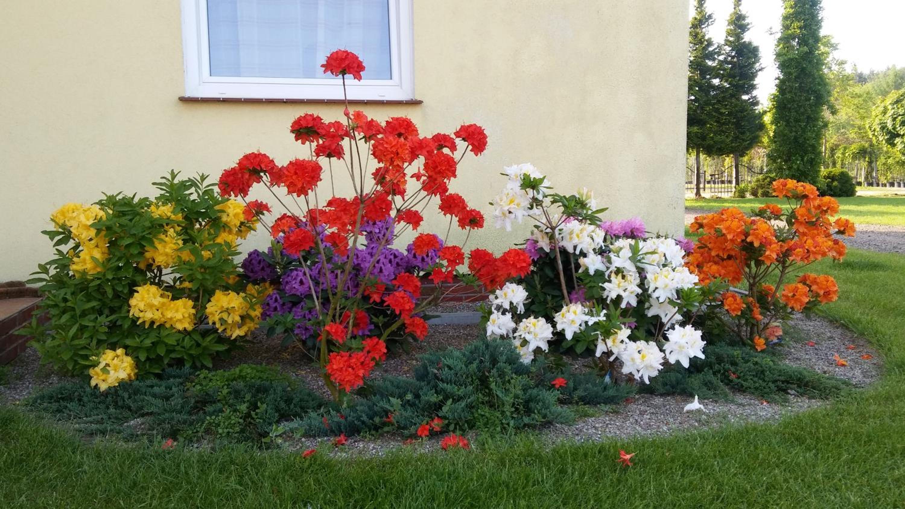 Photo 34