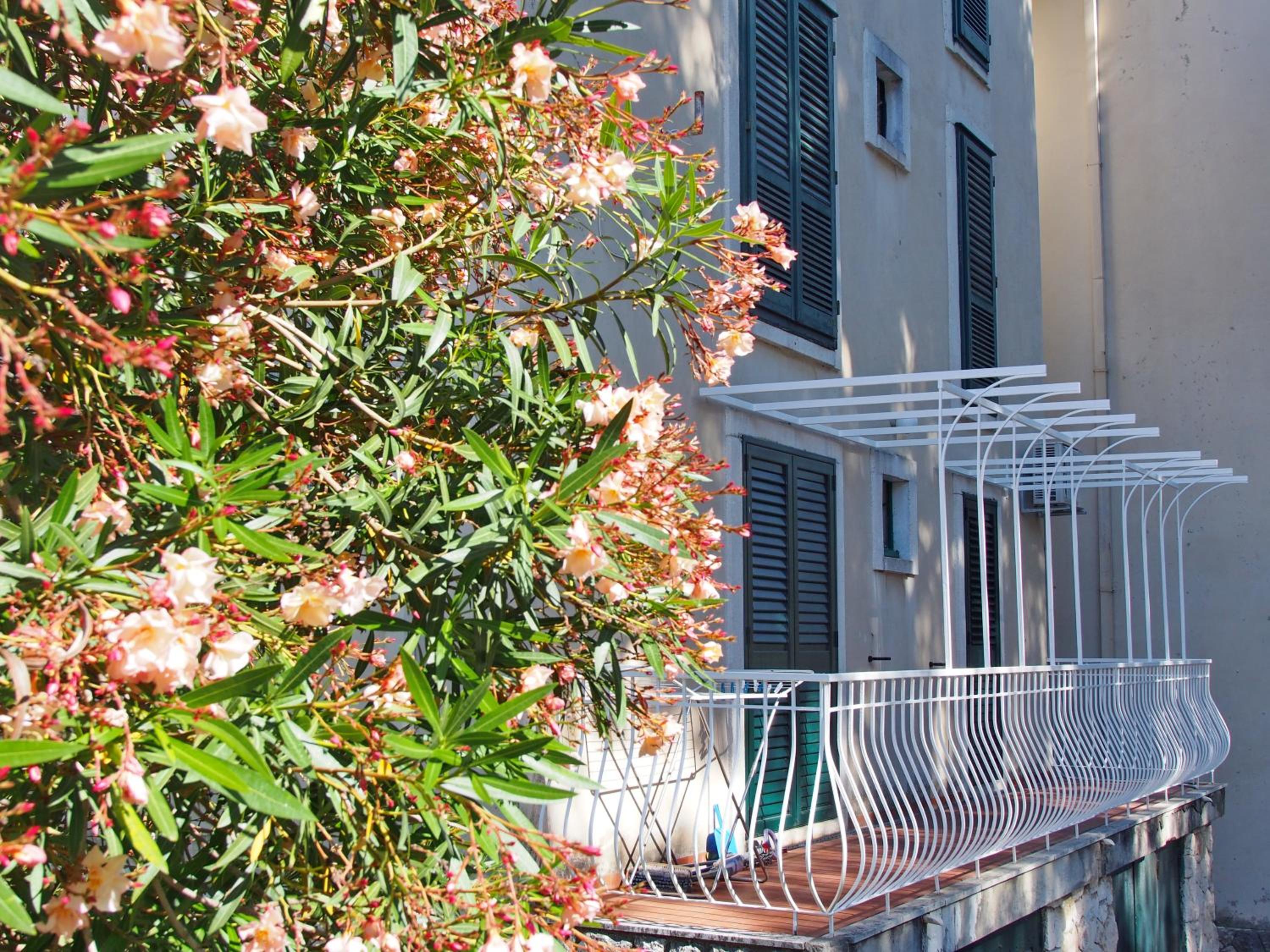 Apartment Sandra