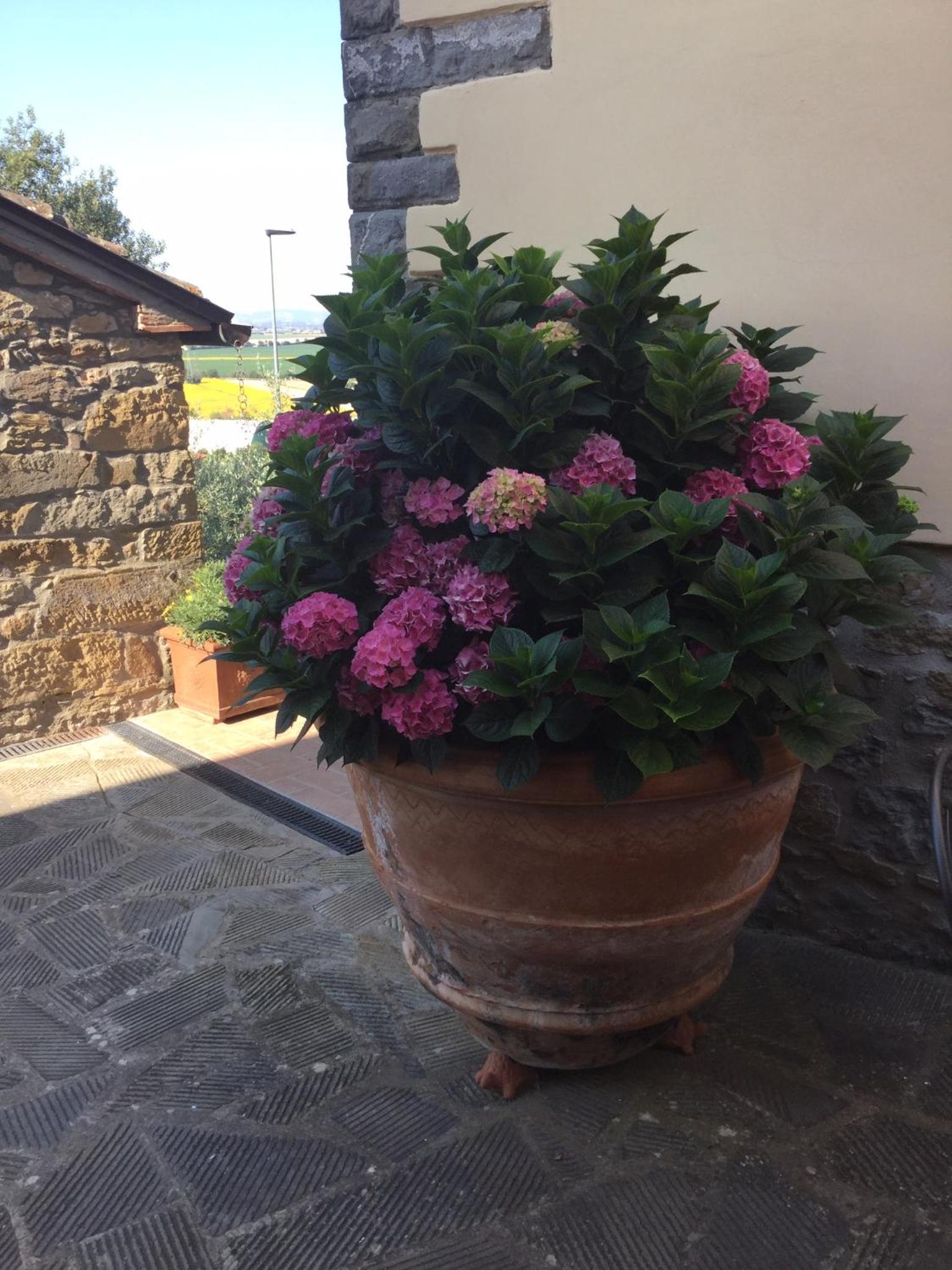 Agriturismo Borgo tra gli Olivi