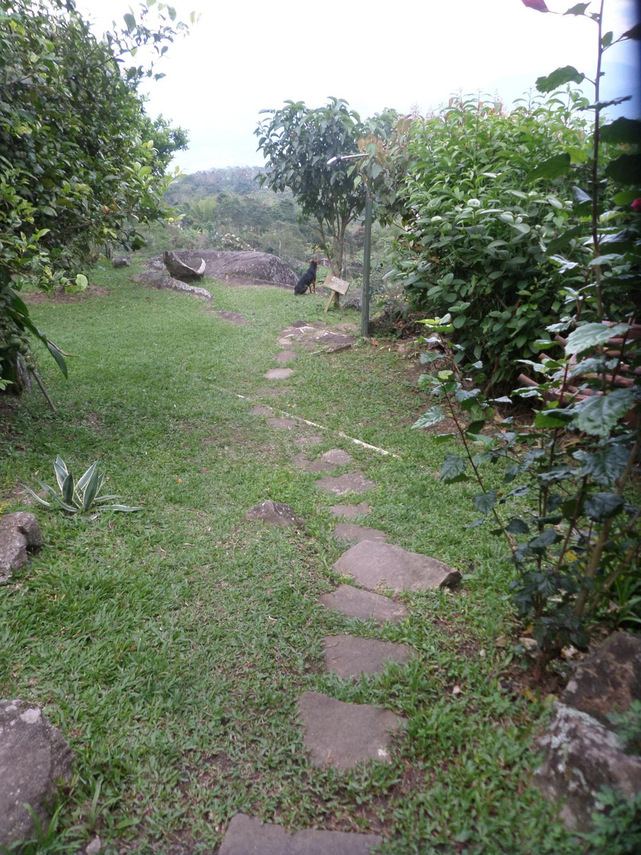 Monte Mágico