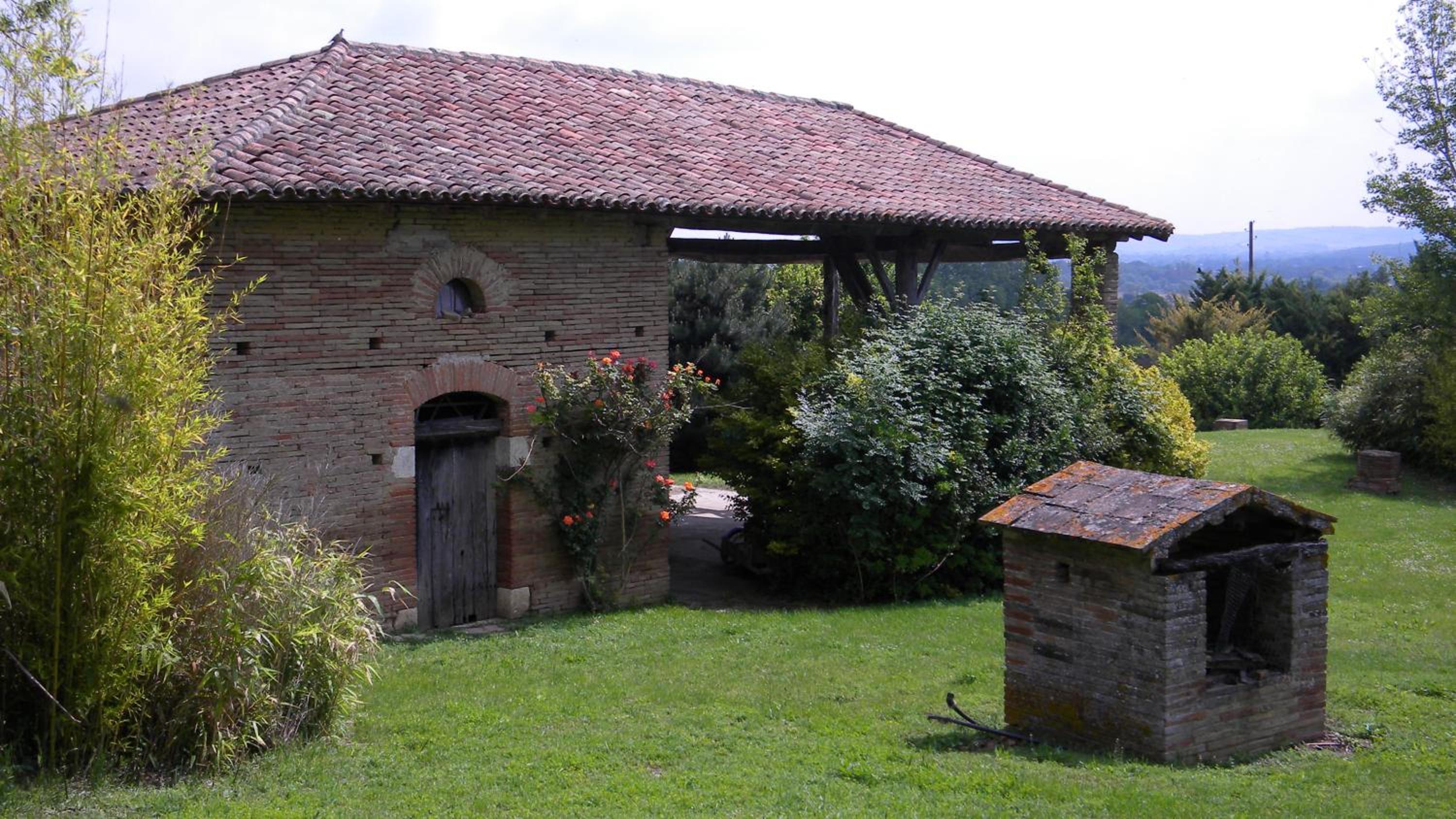 Photo 12
