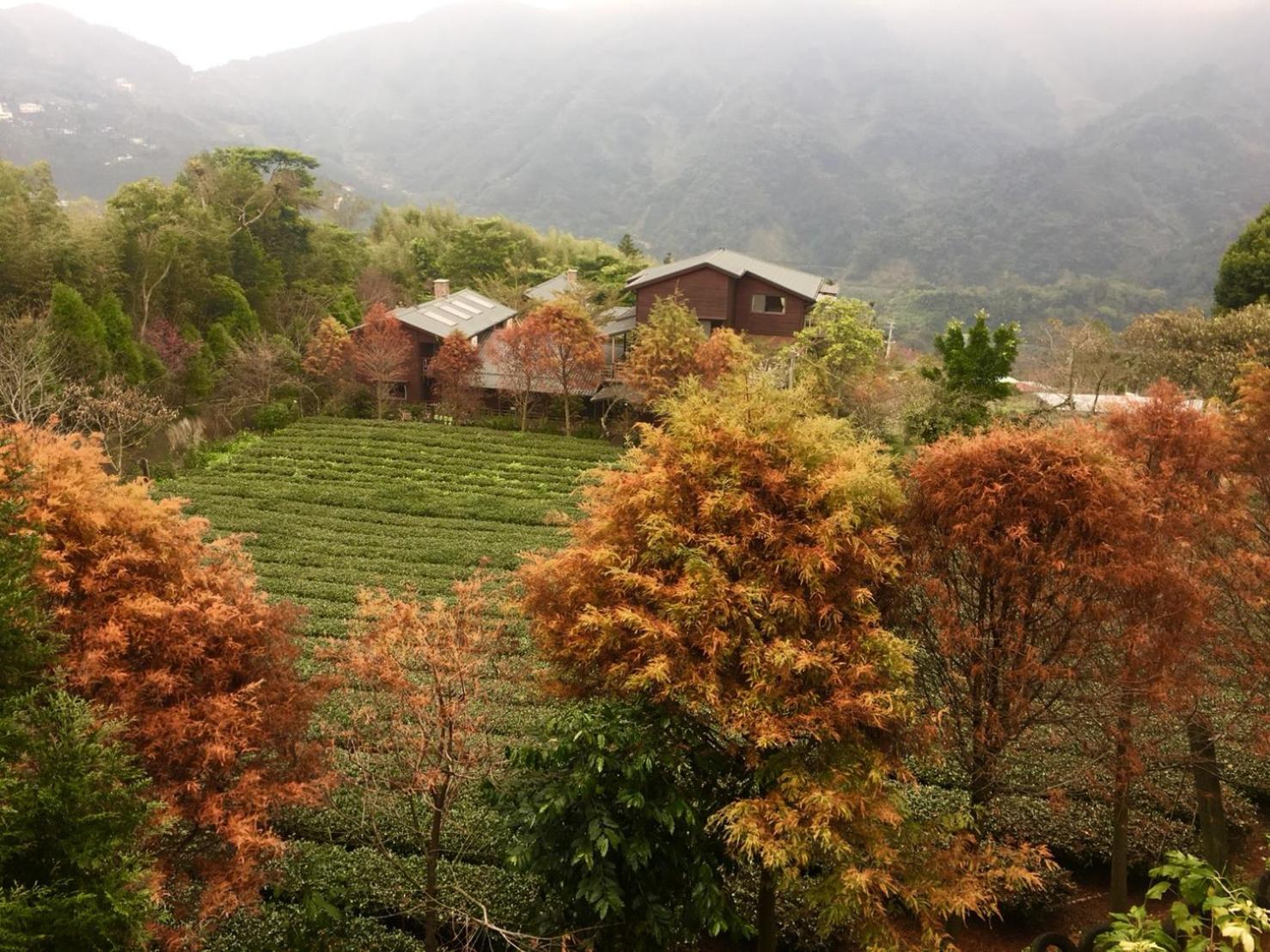 Walk Cloud Bed and Breakfast view 5