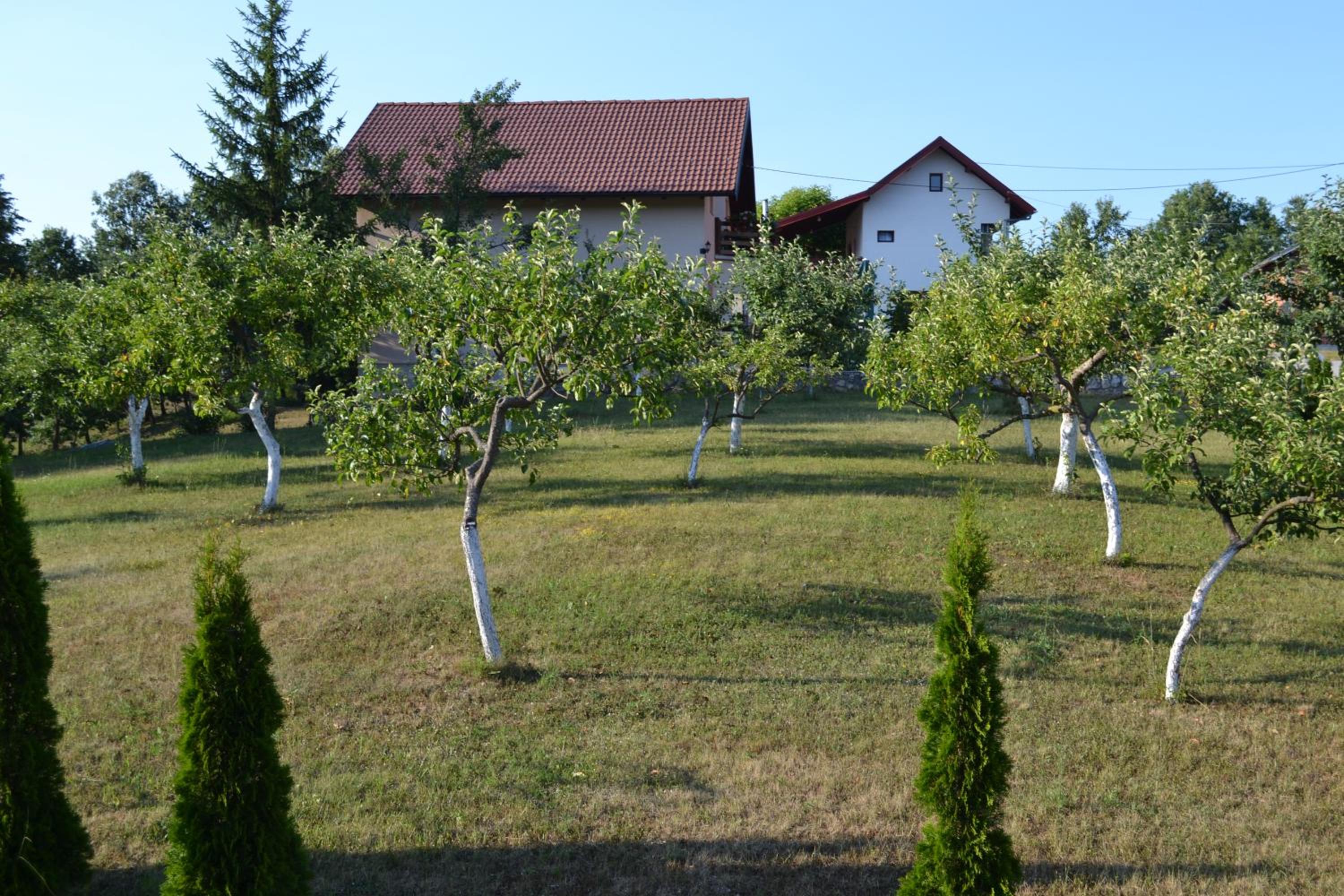 Photo 27