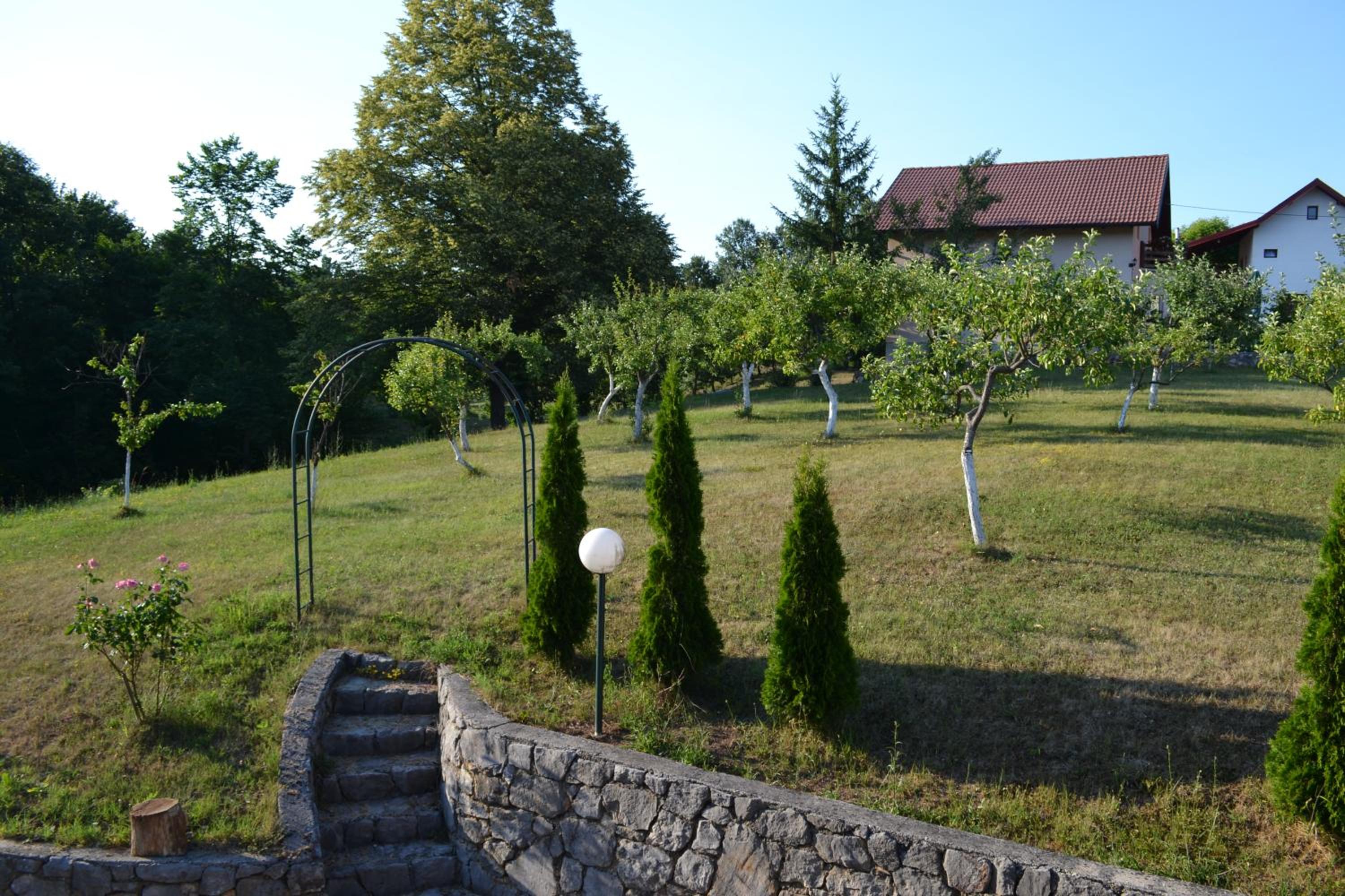 Photo 26