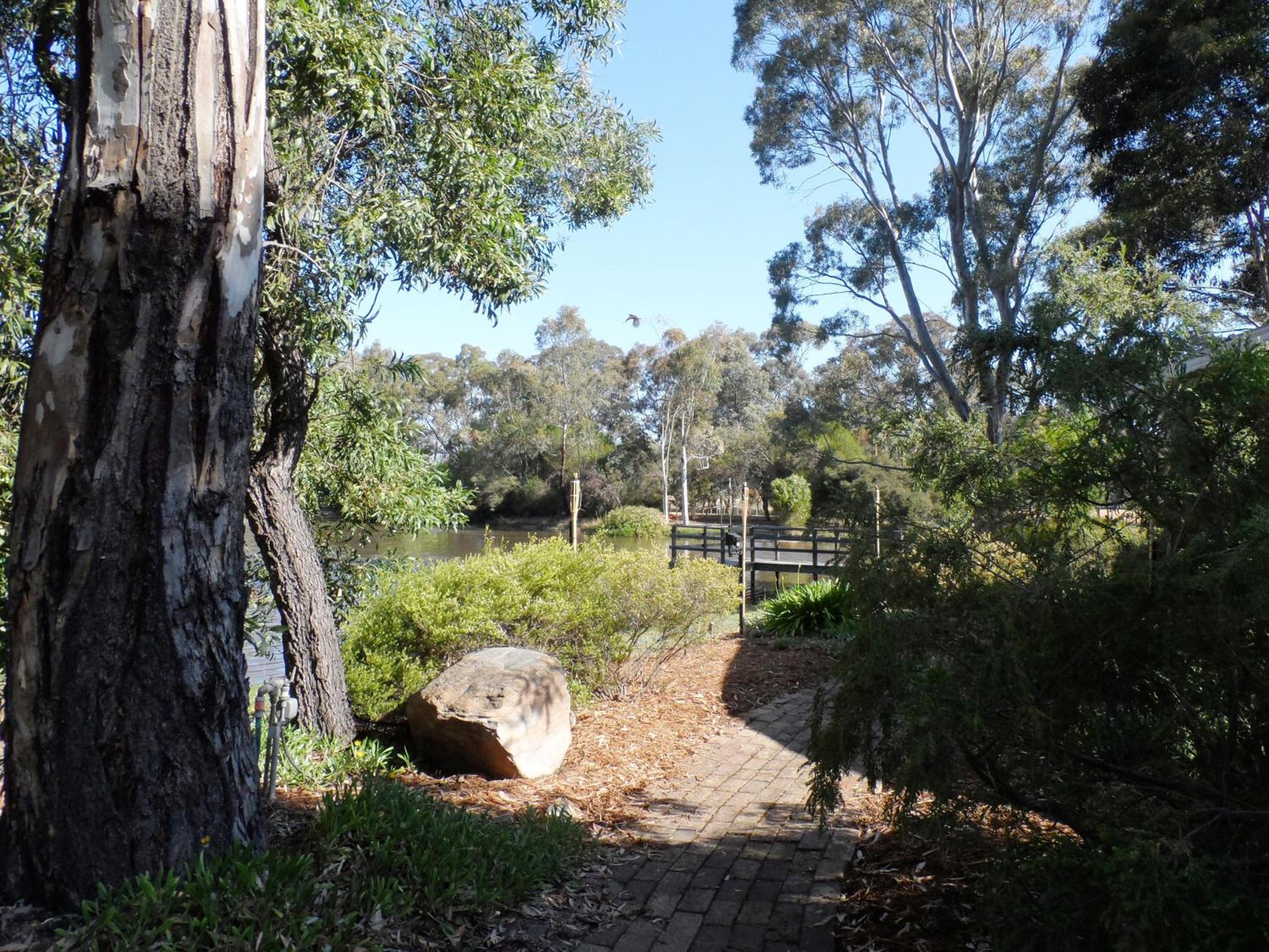 Photo 19
