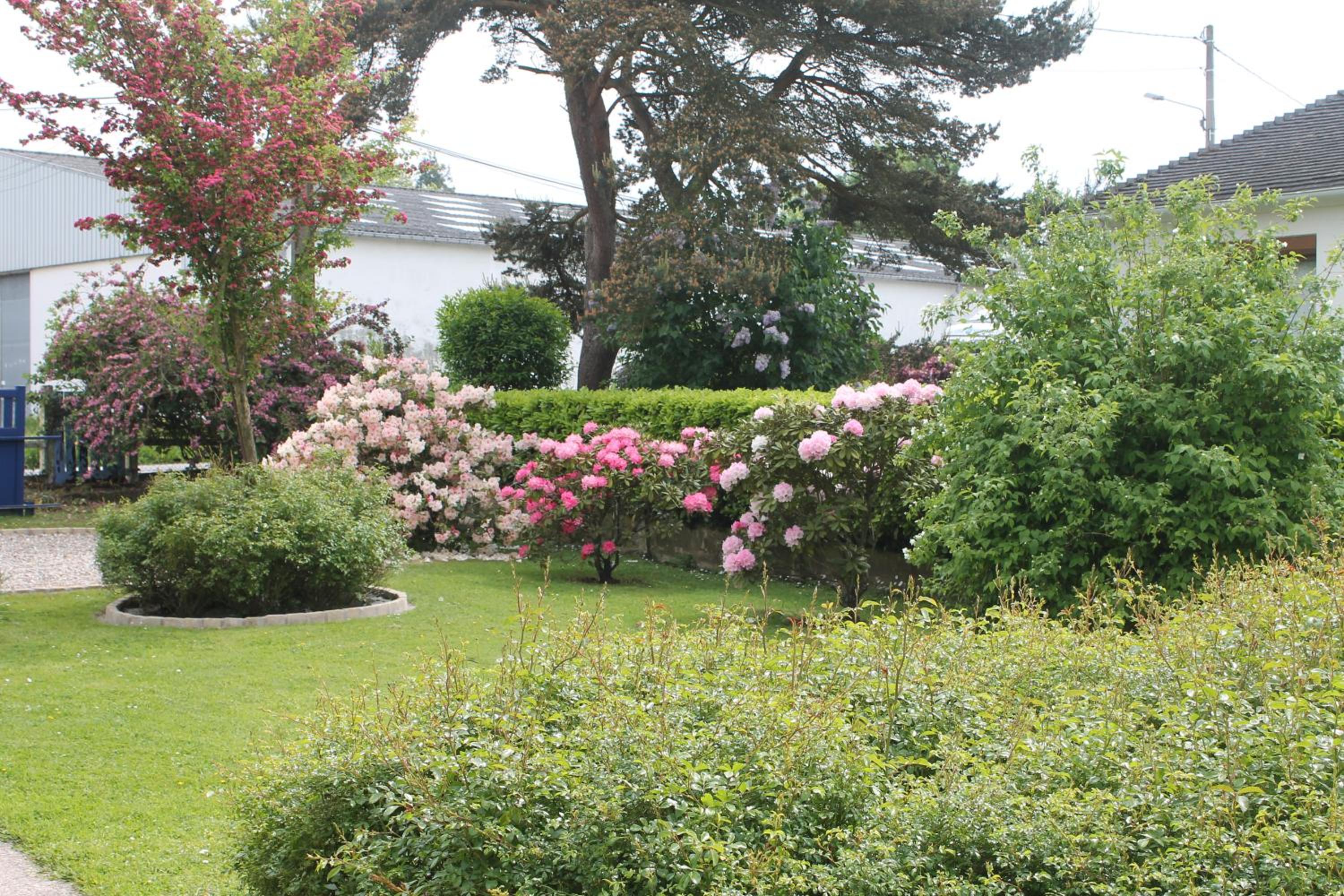 Une Chambre D'Hote Yvetot view 3