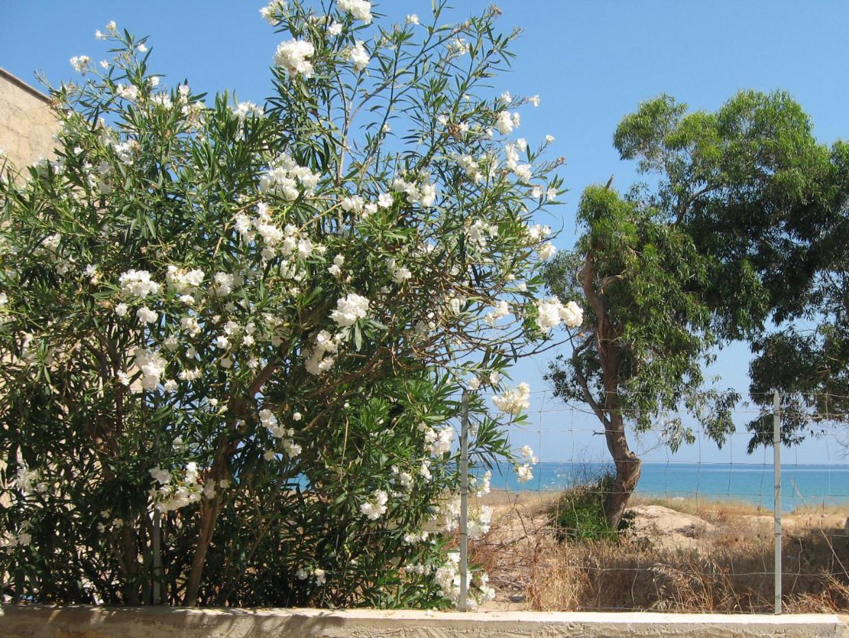 Elios casevacanze sulla spiaggia