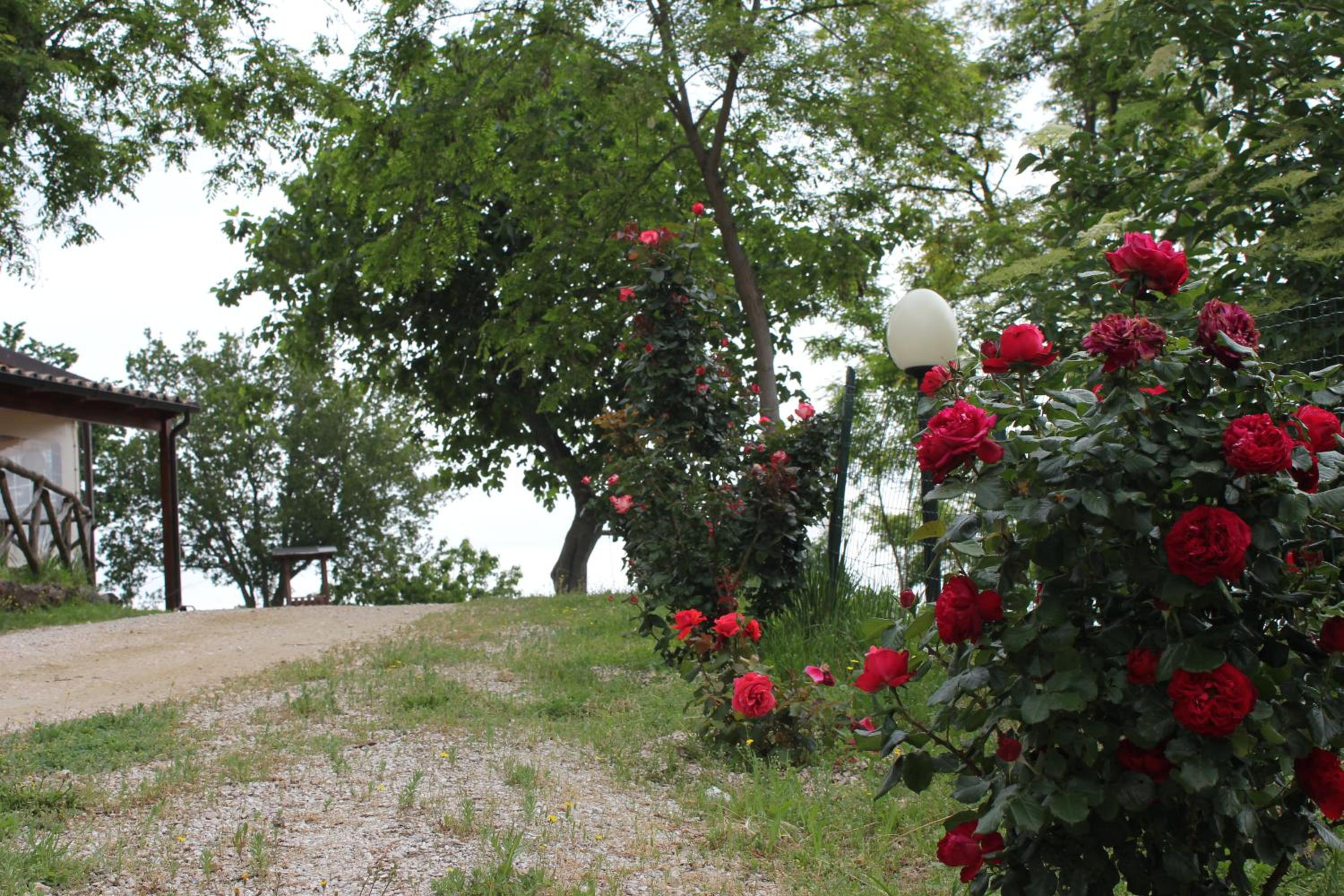 Agriturismo La Valle del Vento Urbino