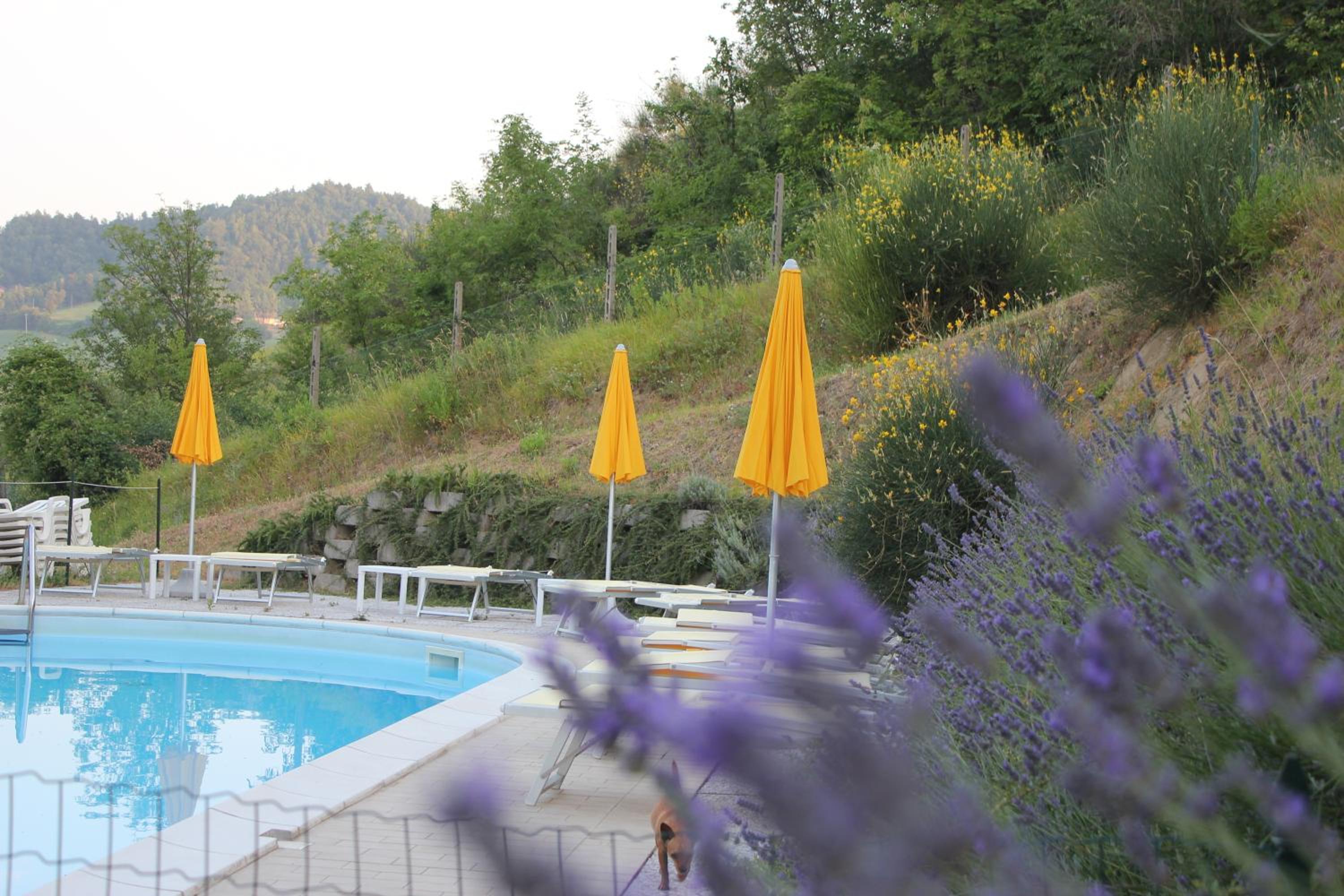 Agriturismo La Valle del Vento Urbino