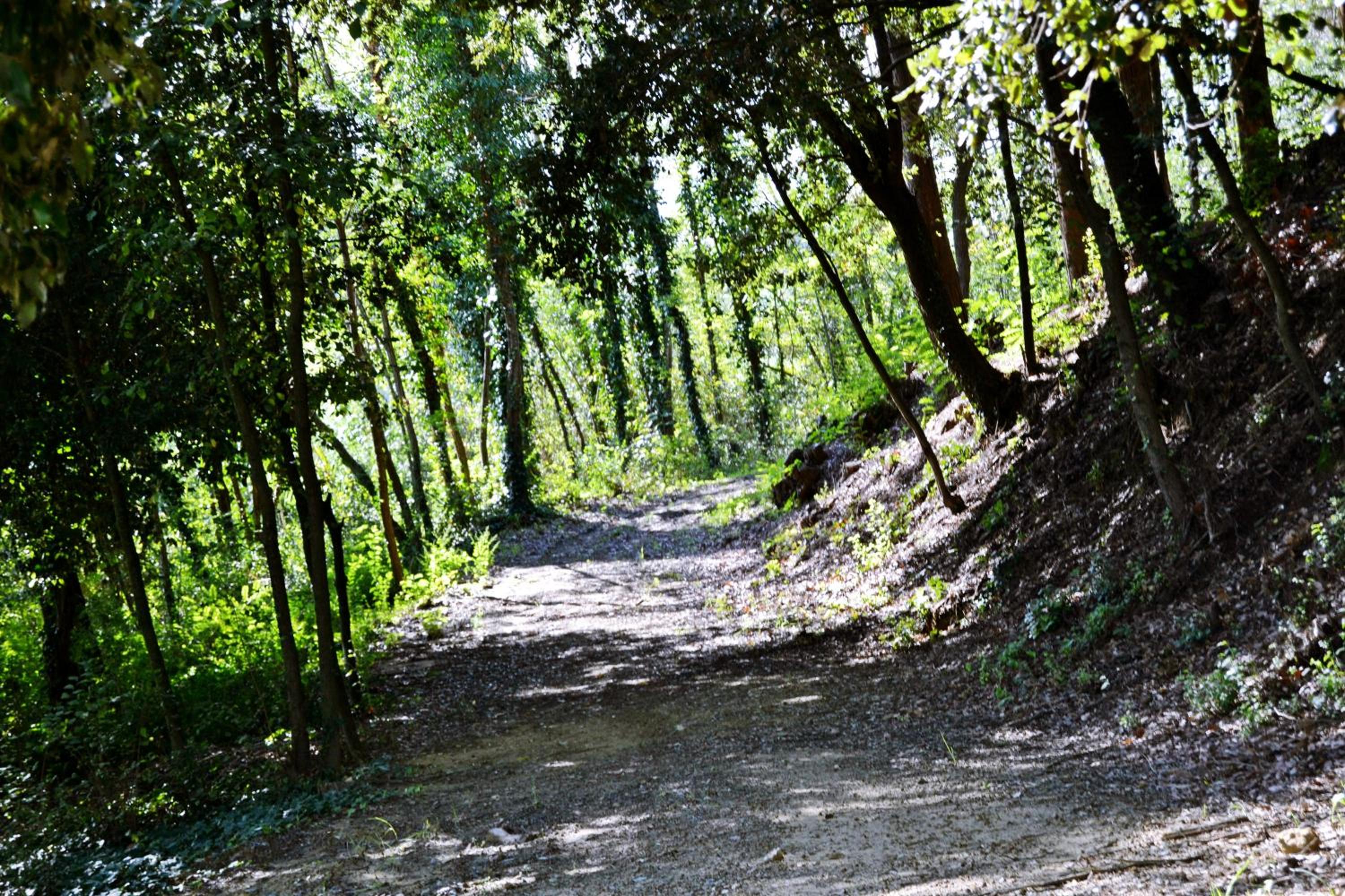 Cevoli Country Resort