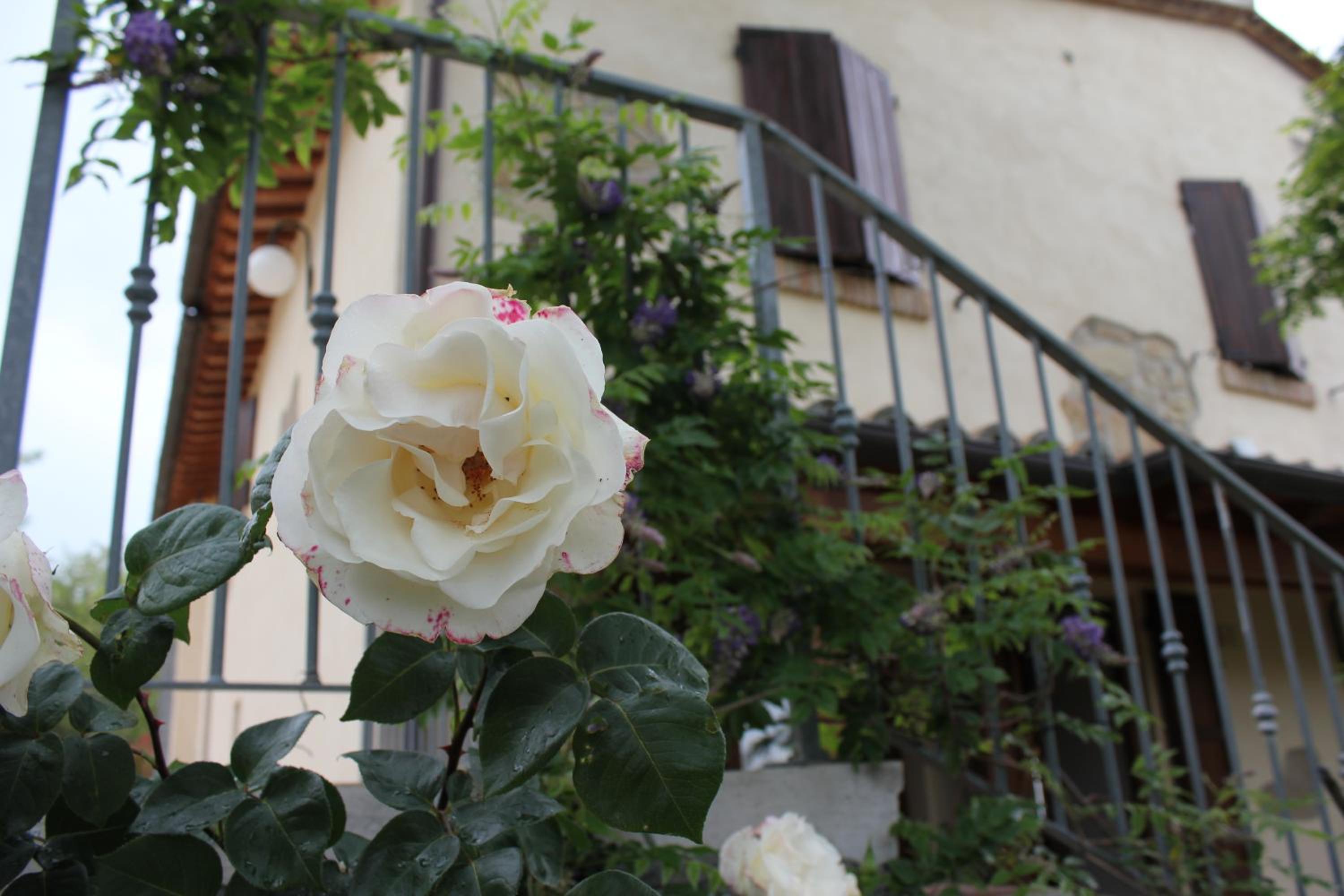 Agriturismo La Valle del Vento Urbino