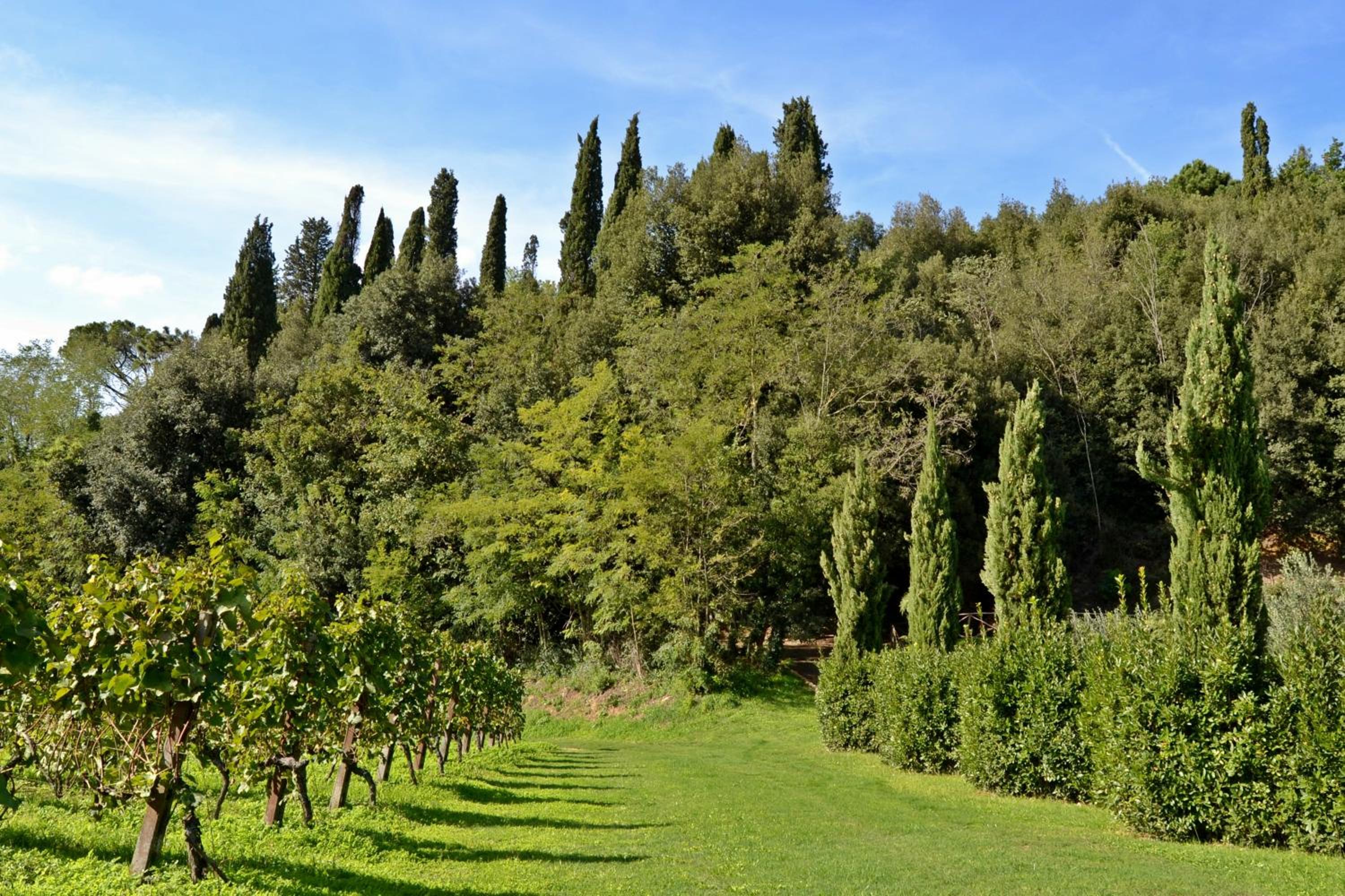 Cevoli Country Resort