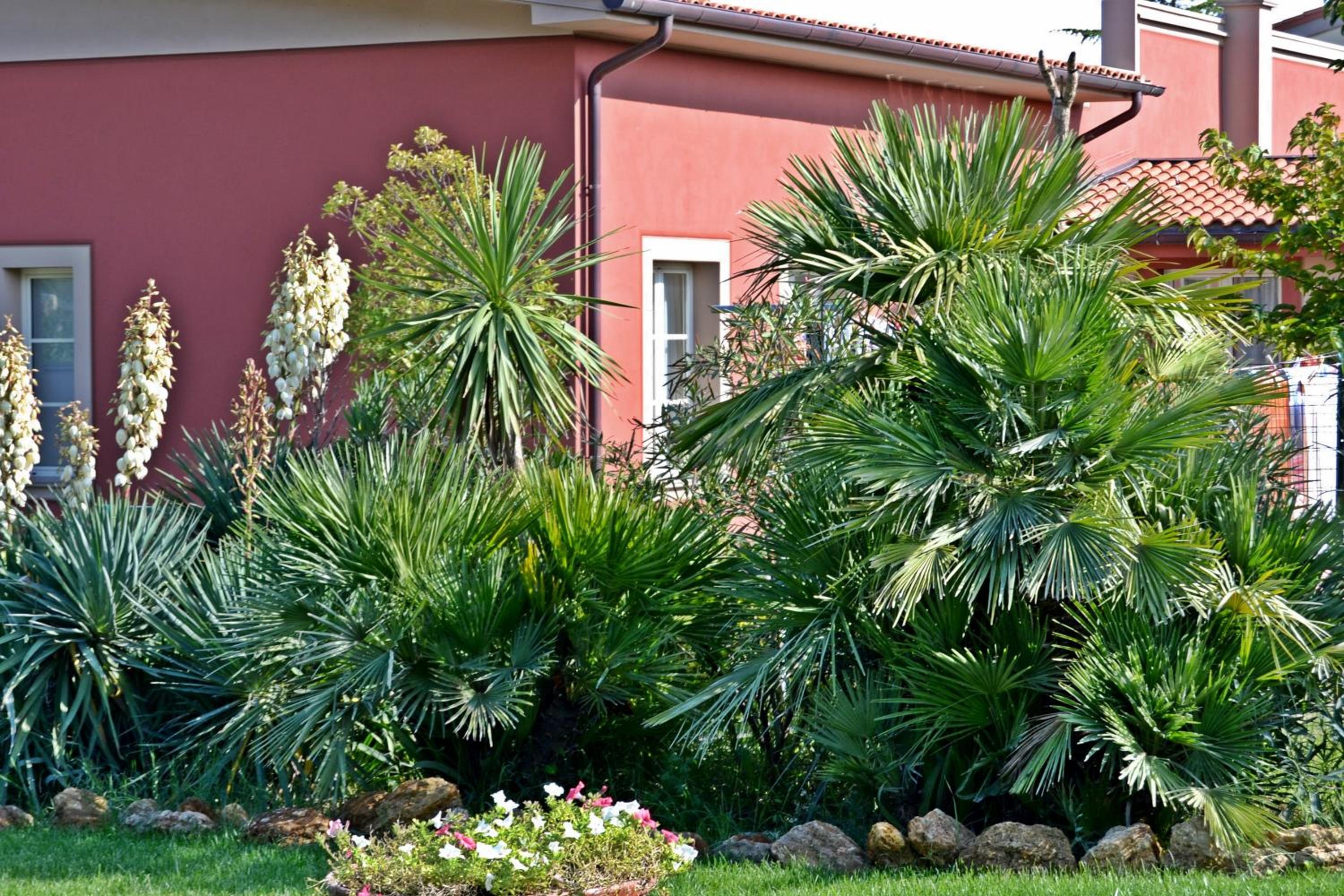 Cevoli Country Resort