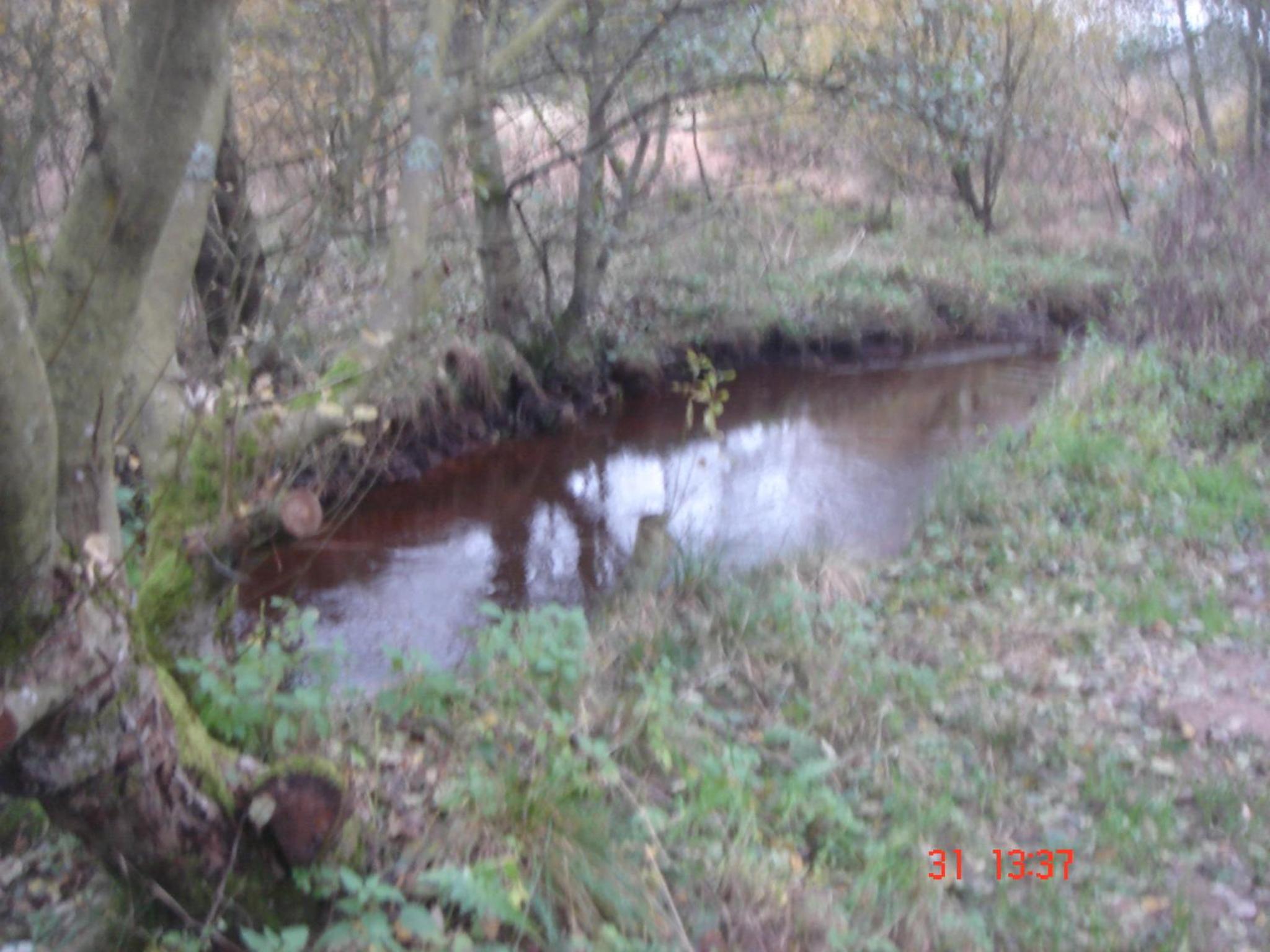 Photo 30