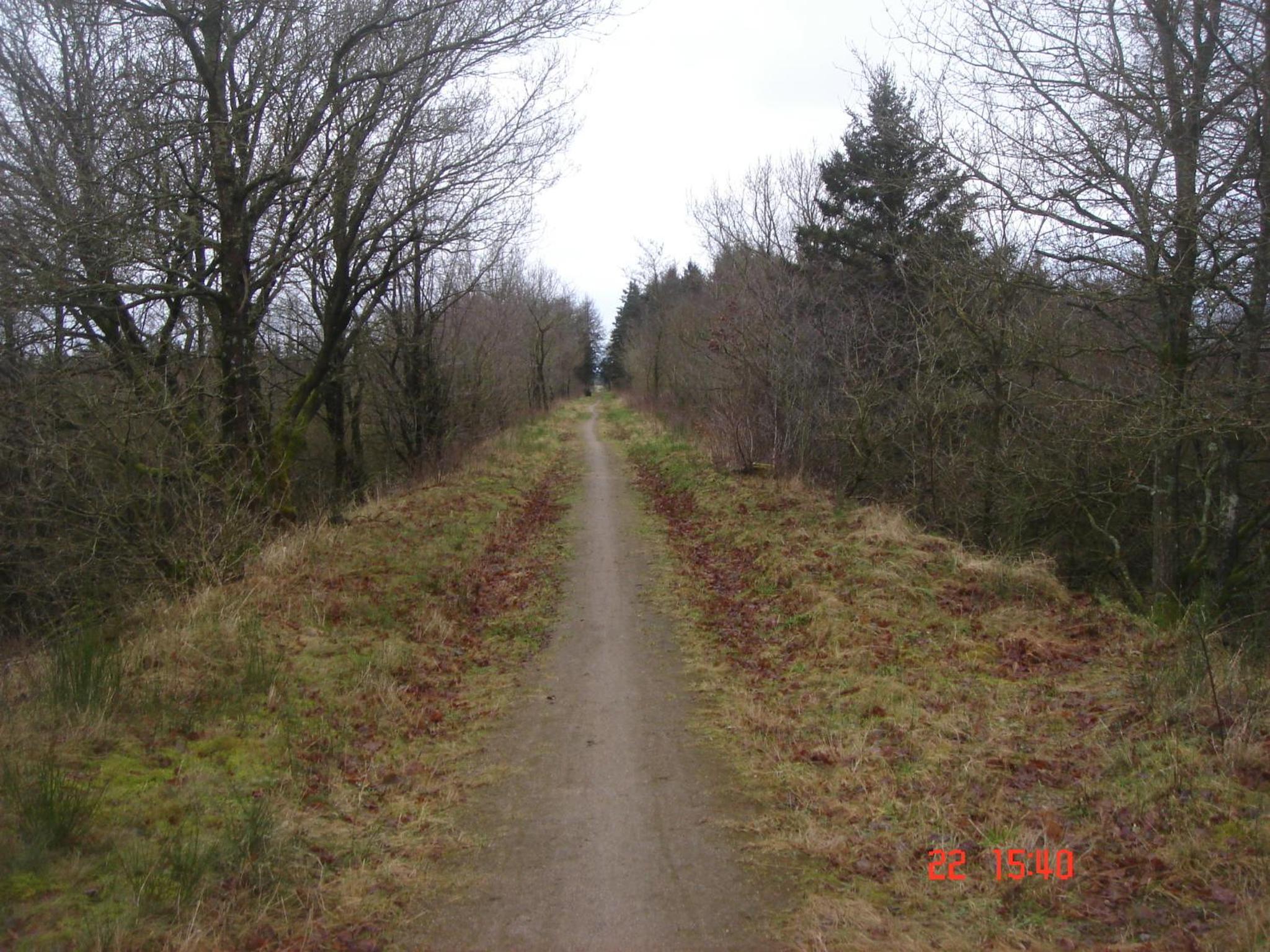 Photo 34