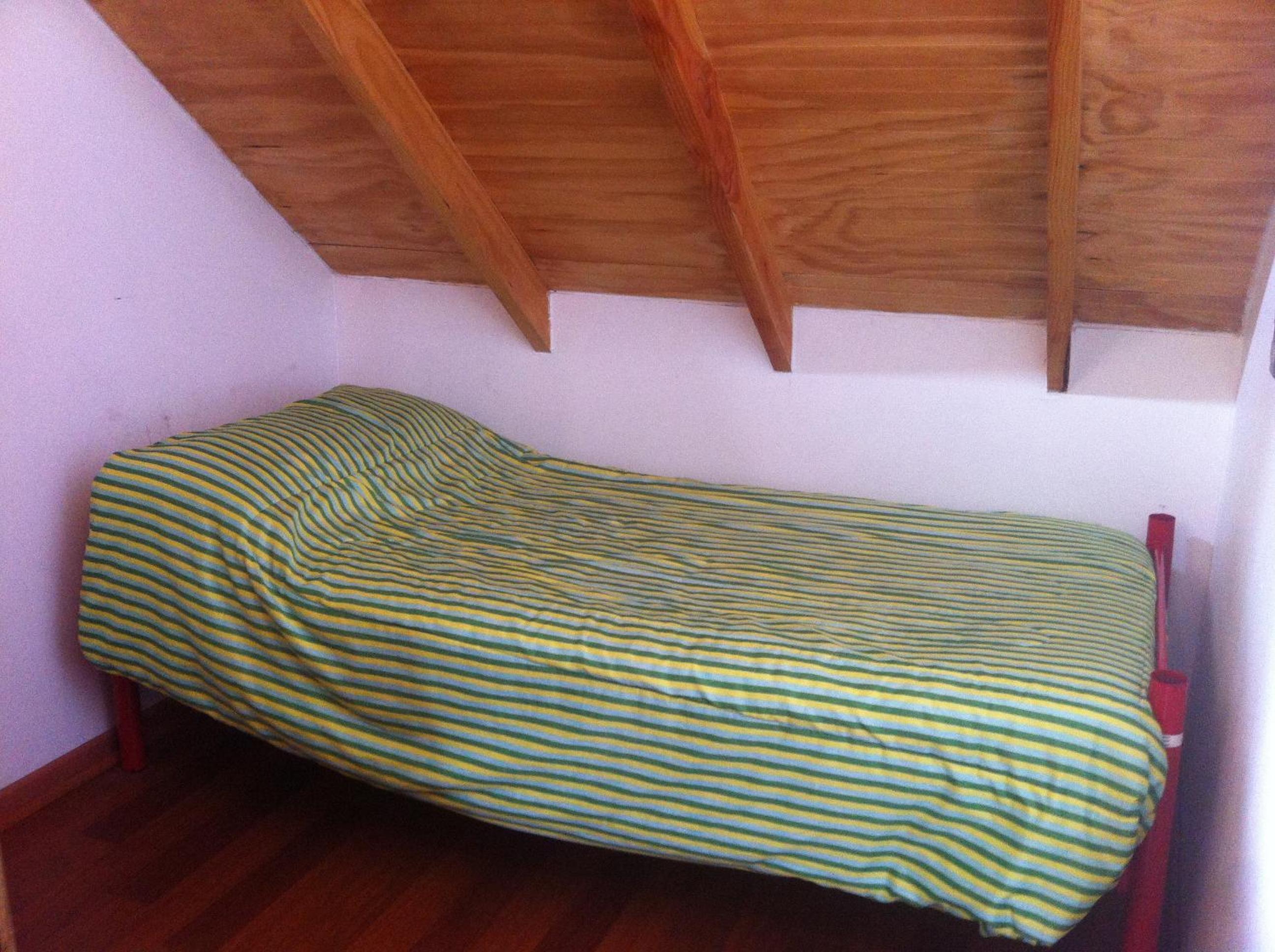 Gecko Hostel