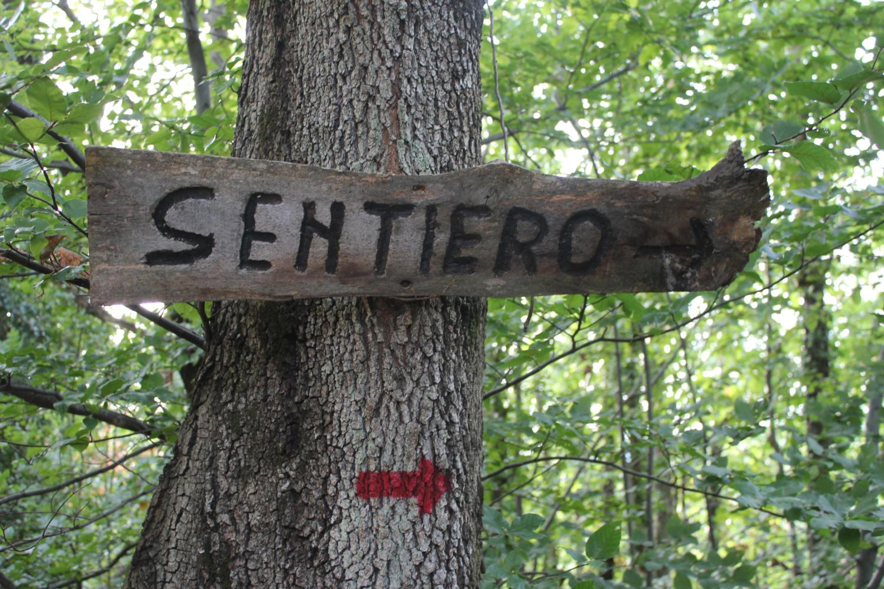 Agriturismo La Valle del Vento Urbino
