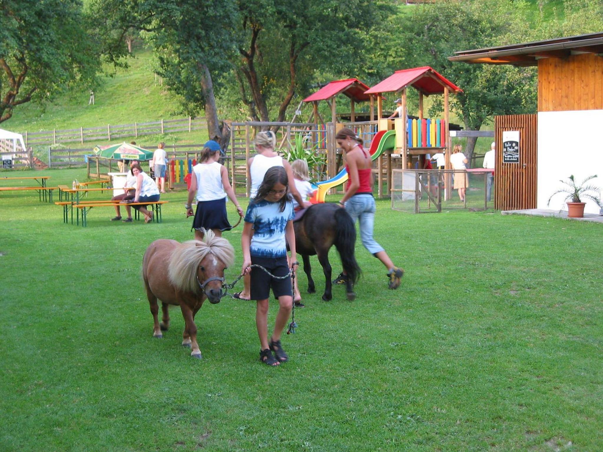 Alpen Adria Gasthof Rausch