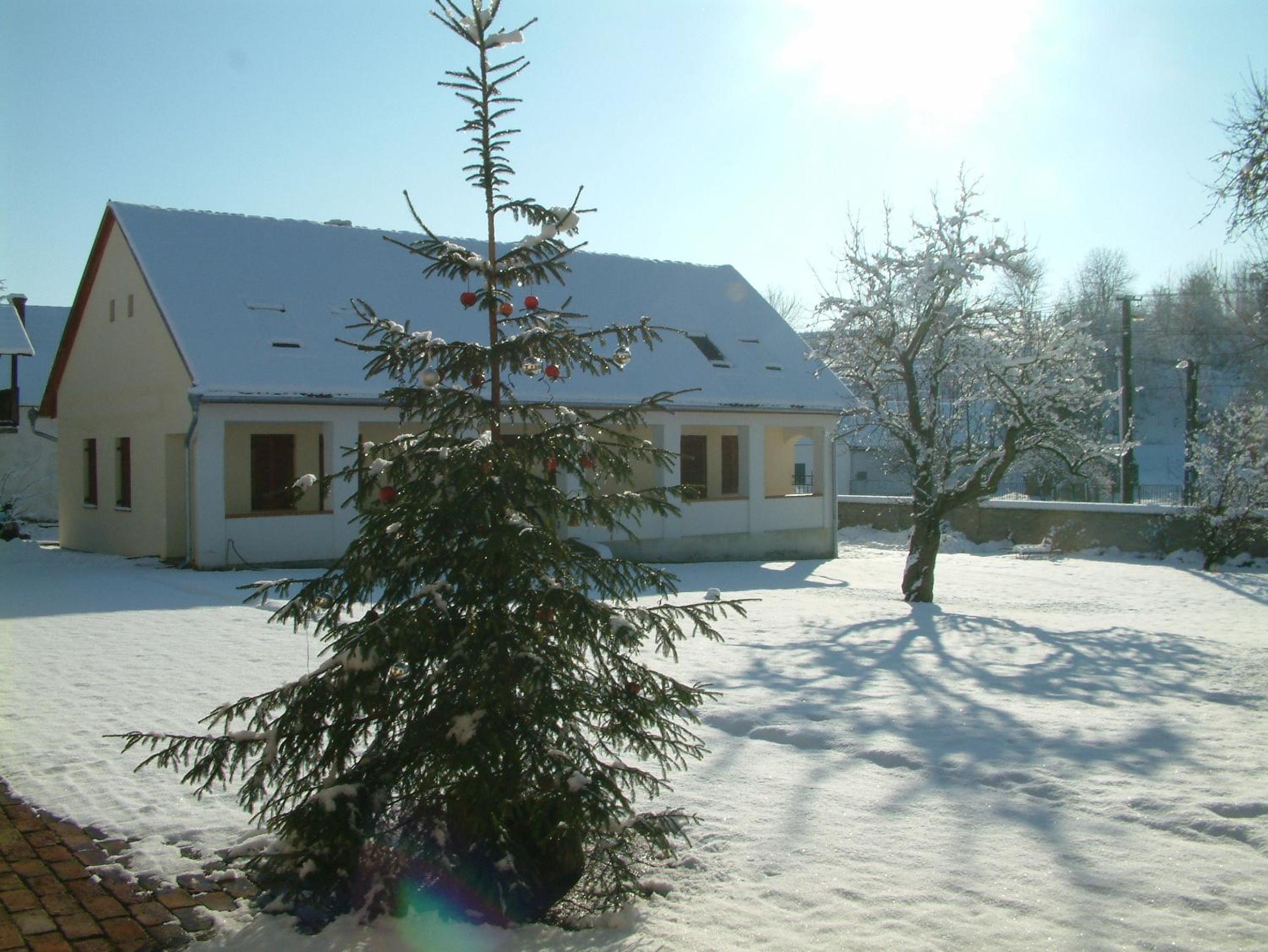Photo 8