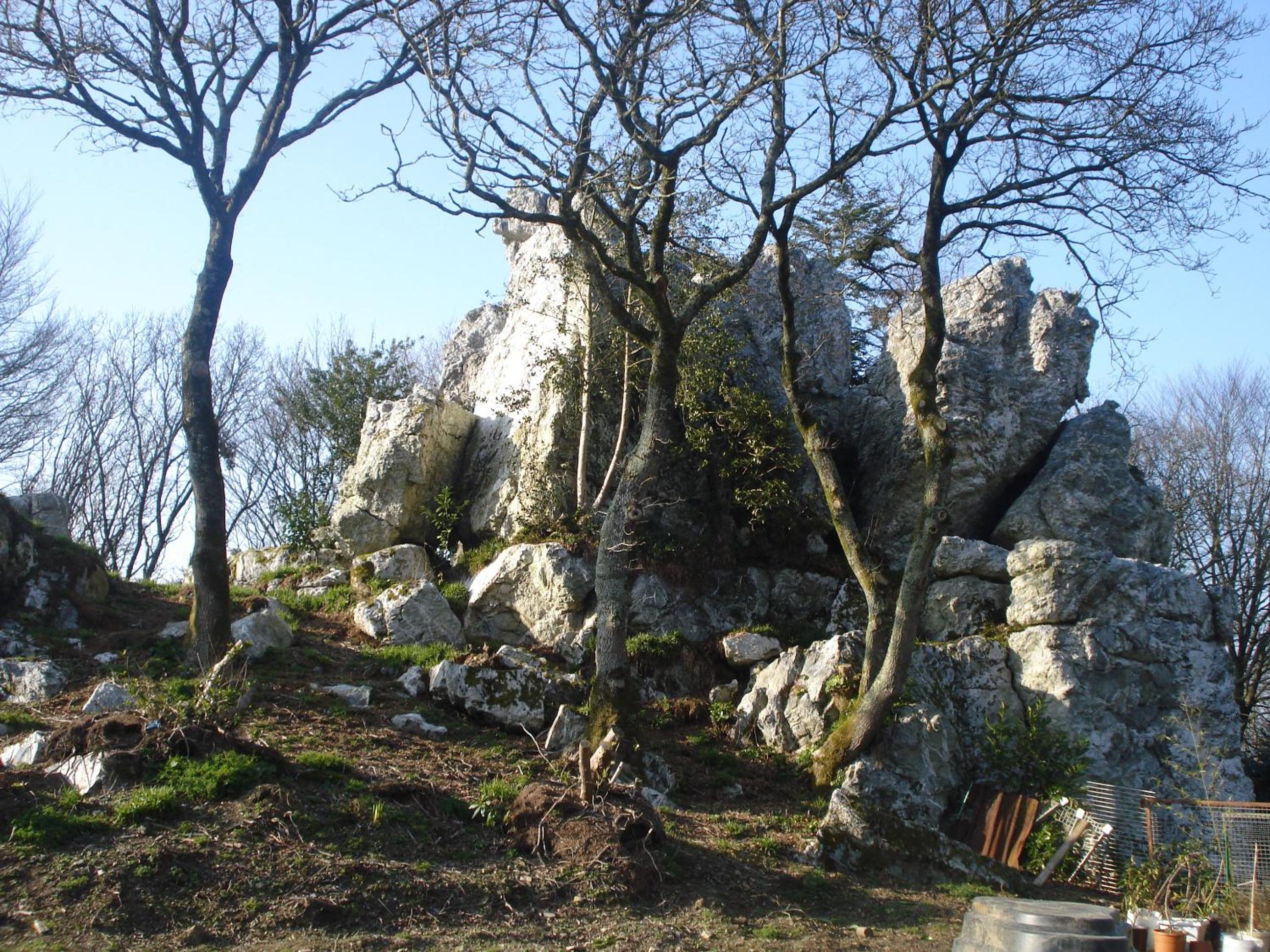 Photo 45
